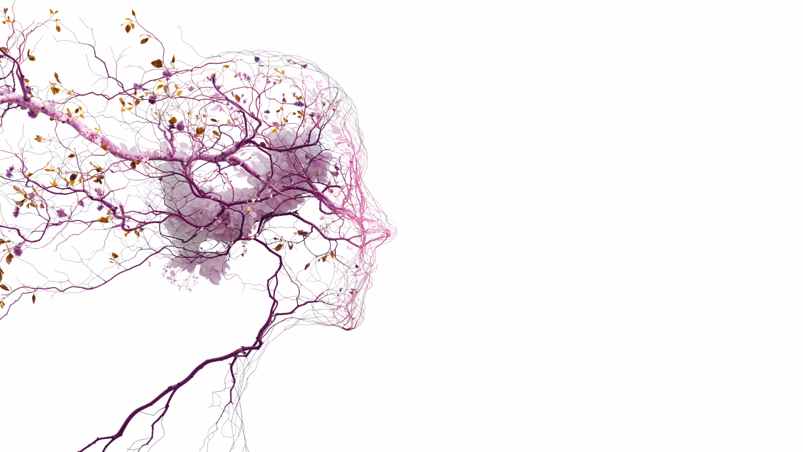 A bespoke side on silhouette profile of a patient showing the neural pathways and transformative recovery taking place