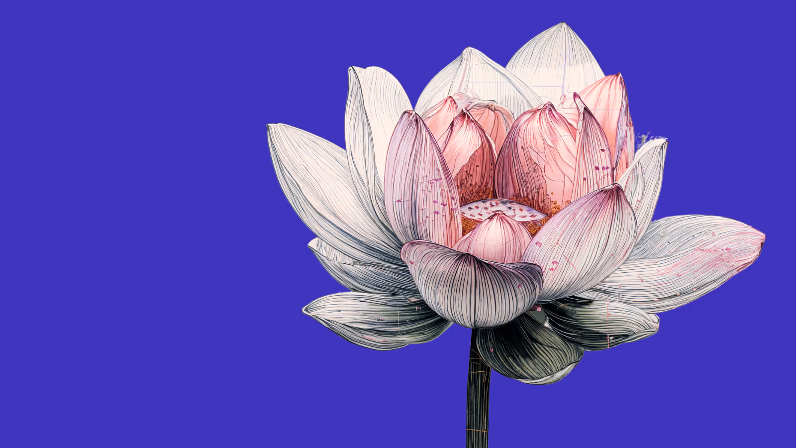 A blossoming digital lotus flower