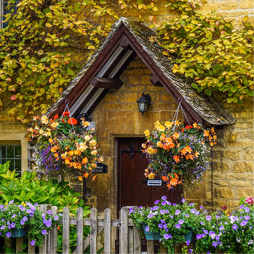 Charming cottage with hanging baskets and purple flowers by wooden fence