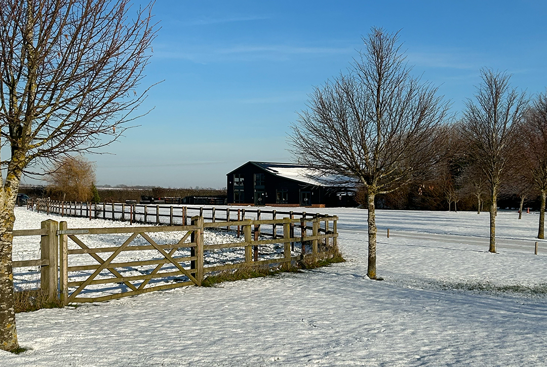 The Flok Health office buidling covered in snow.