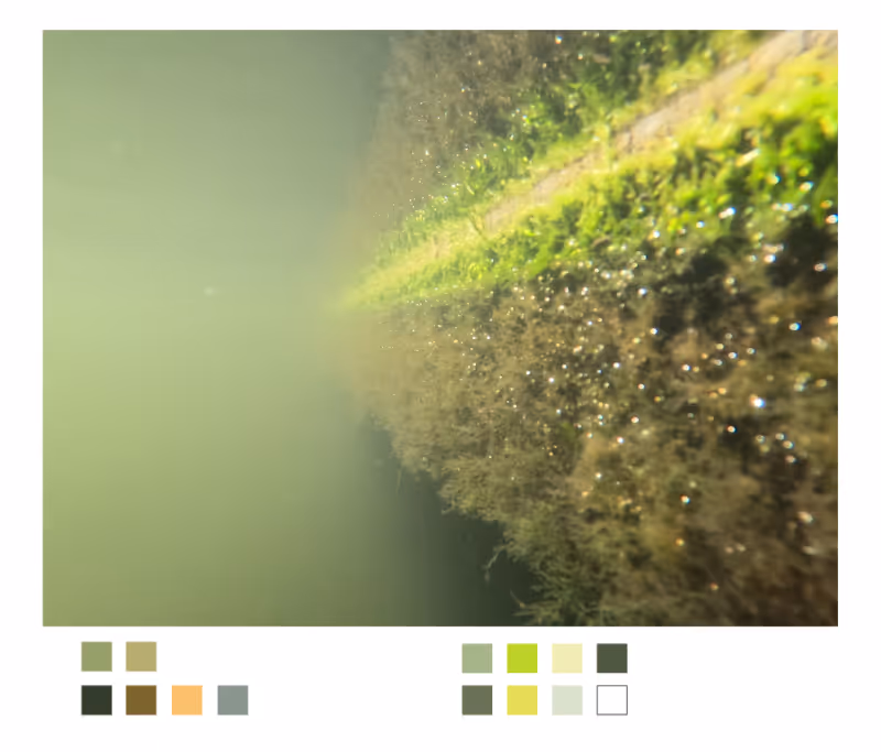 Kleurenonderzoek voor de website van De Waterkaravaan