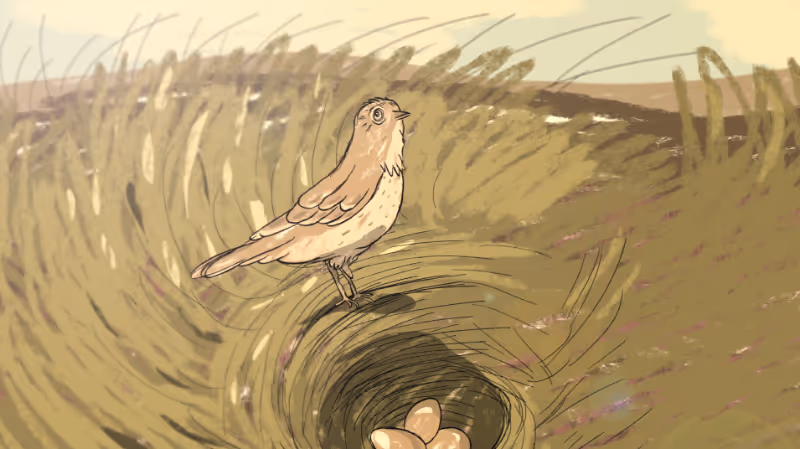 Beeld uit de animatie De Ballade van Tôntje d'n Dwerg van een leeuwerik op zijn nest op de Peel.