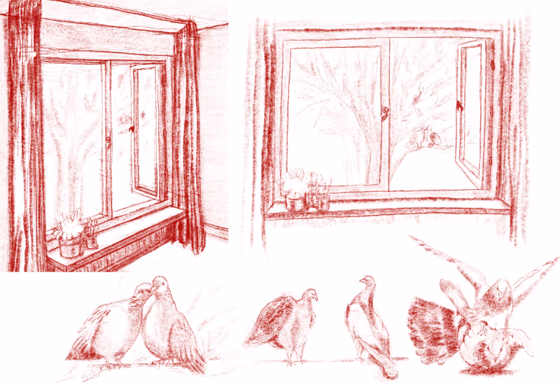 Schetsen van een raam en duiven voor de korte stop-motionfilm Paloma