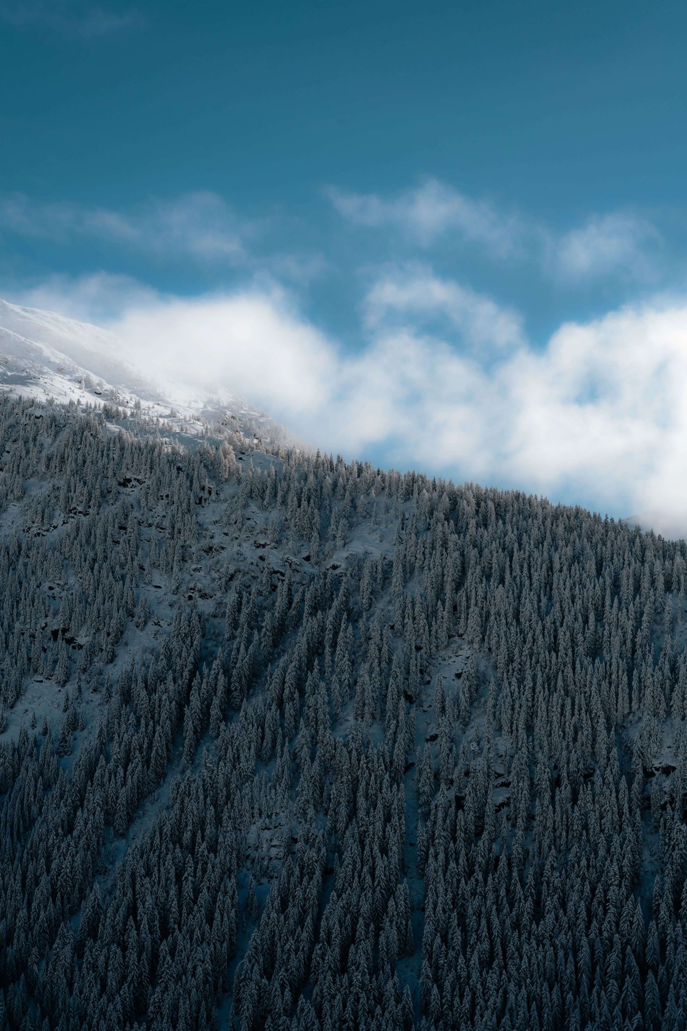 Home Mobile Hero 15 - Les Chalets de Marie - chalets à vendre station Rosière