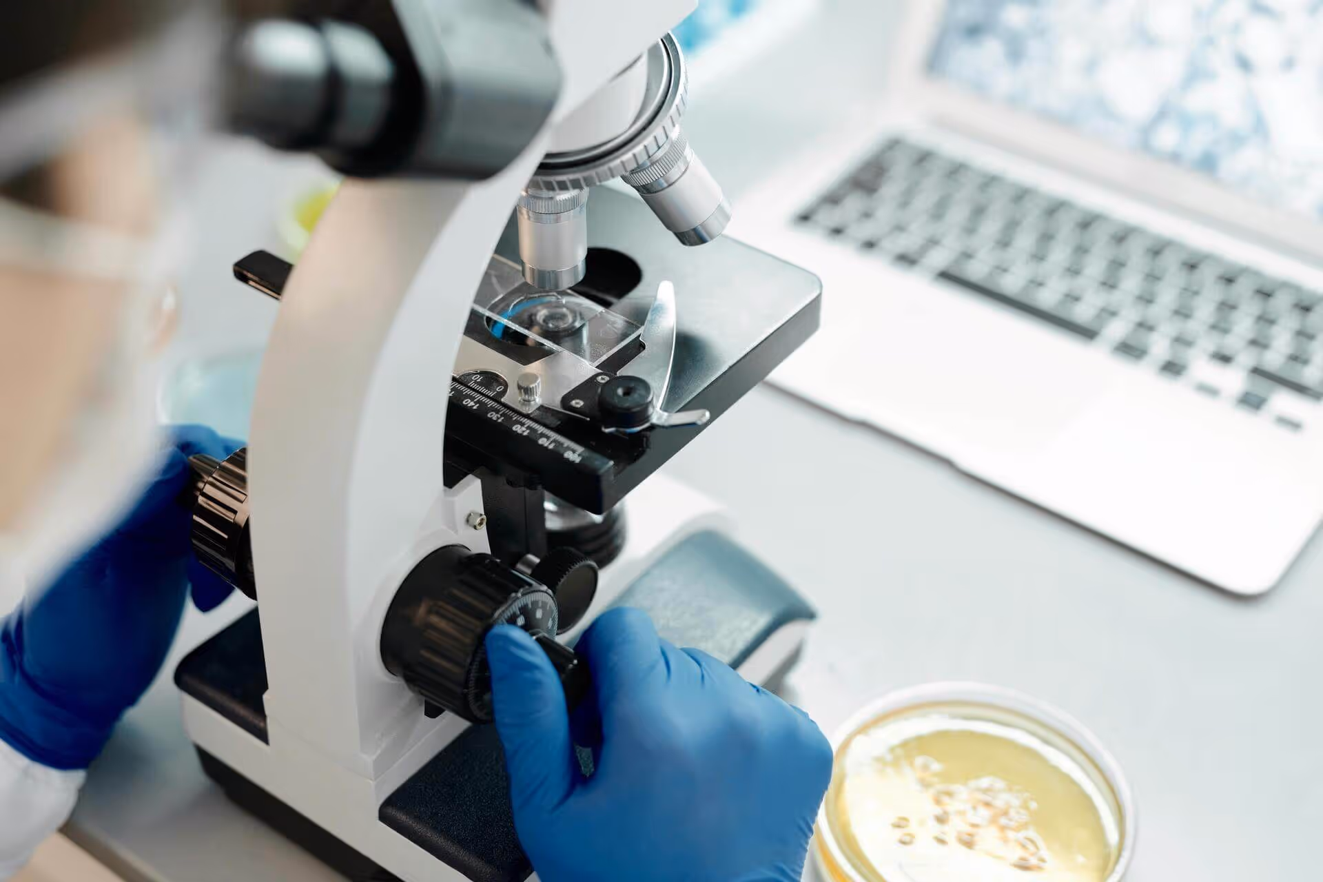 Biotech scientist examining sample