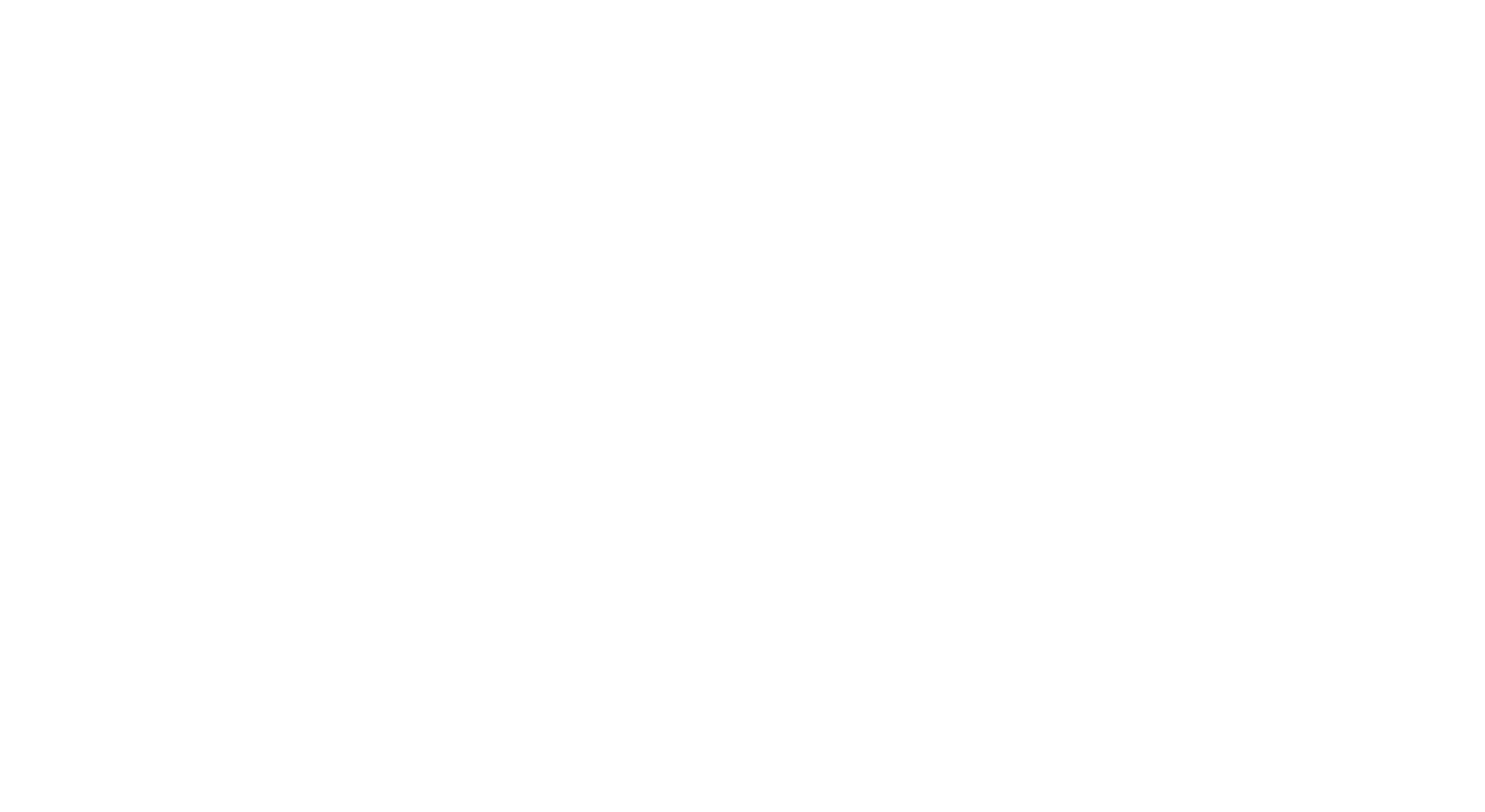 logo in white