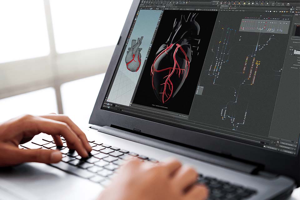 Hands typing on a laptop keyboard with a 3D anatomical heart model and complex data visualization on the screen.