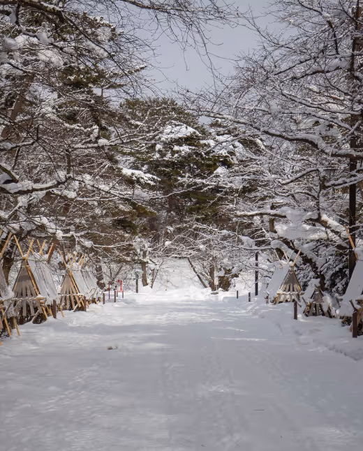 Snow scenic spot in Japan
