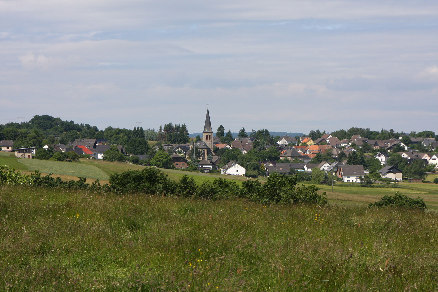 image of fresh produce on a farmer's market table