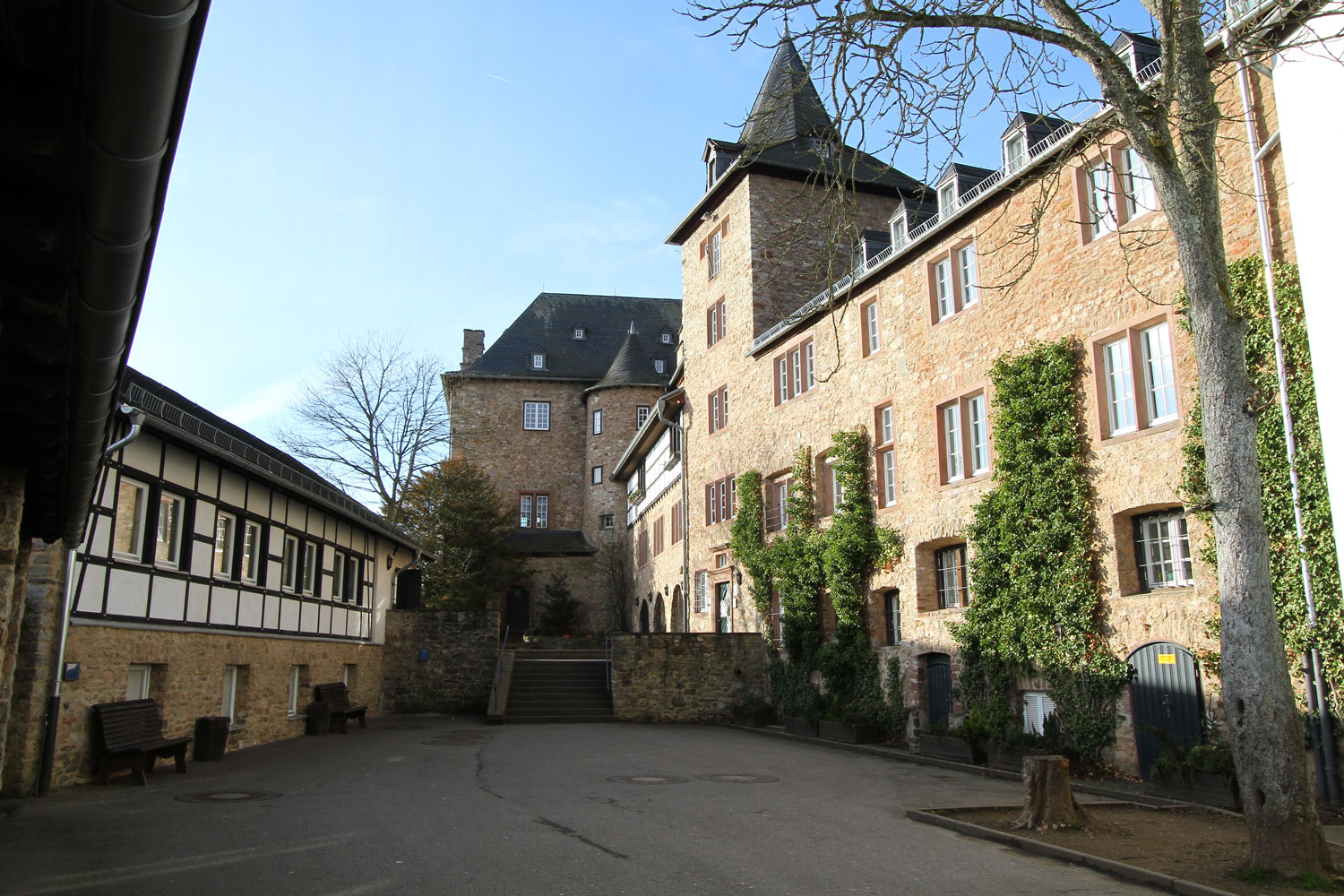 [background image] landscape with a bike trail (for a bicycle shop)