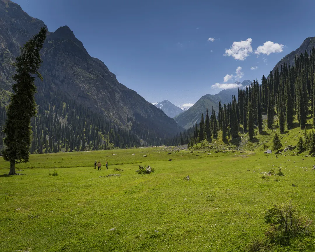 Kyrgyzstan Karakol Valley Green - Scenic Karakol Valley with green meadows and towering mountain peaks.