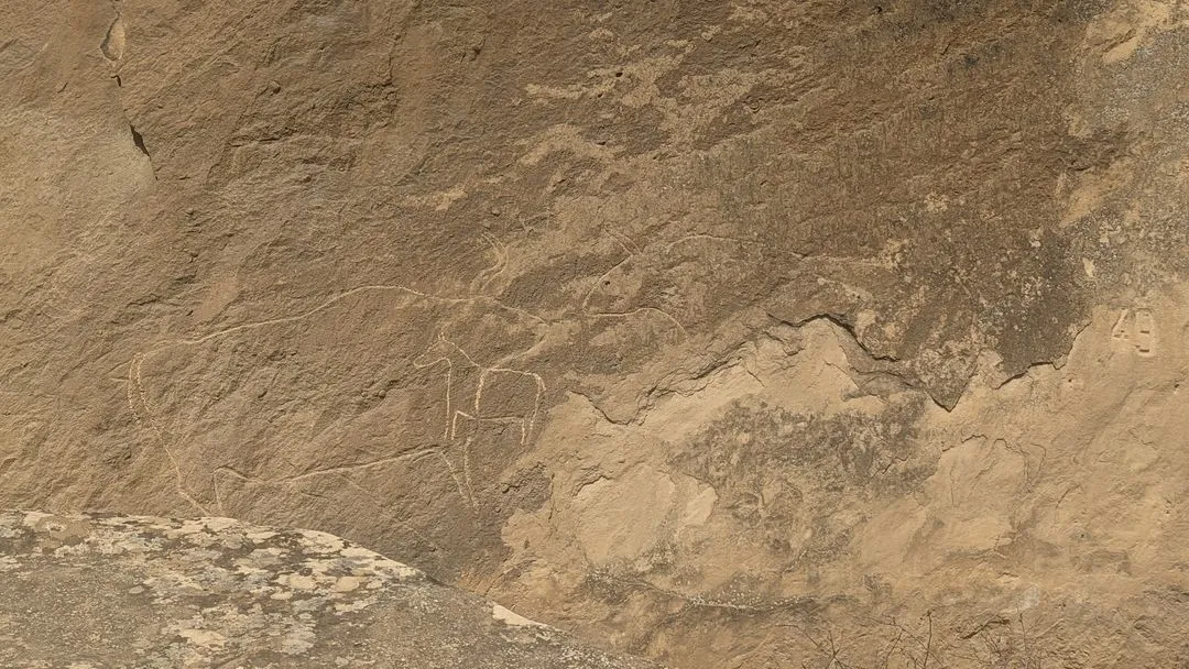 Closeup of Gobustan petroglyphs in Azerbaijan, depicting prehistoric hunting scenes and wild animals on rock formations.