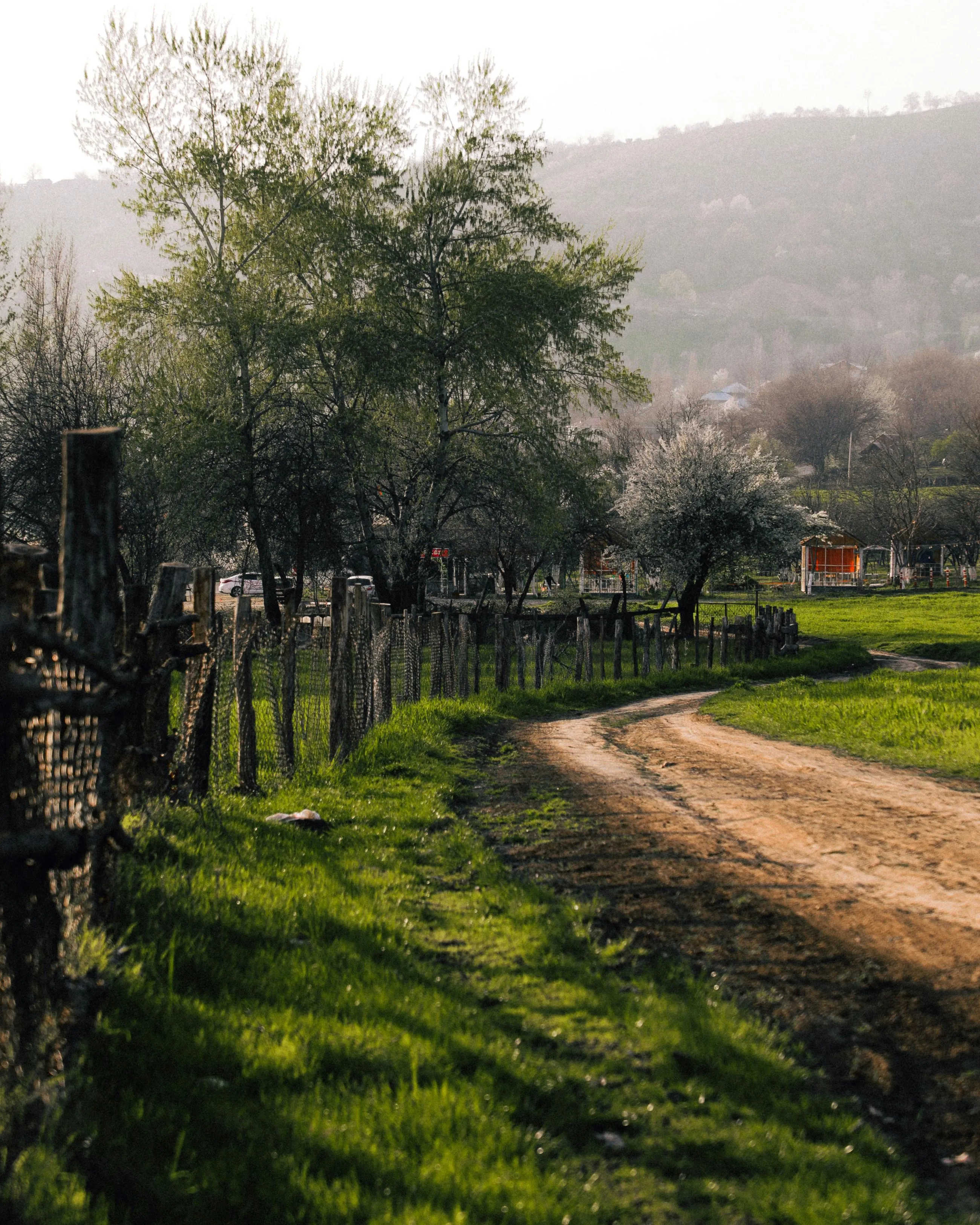 Scenic countryside in Gabala, Azerbaijan, featuring a winding dirt road, lush green trees, and distant mountain views.