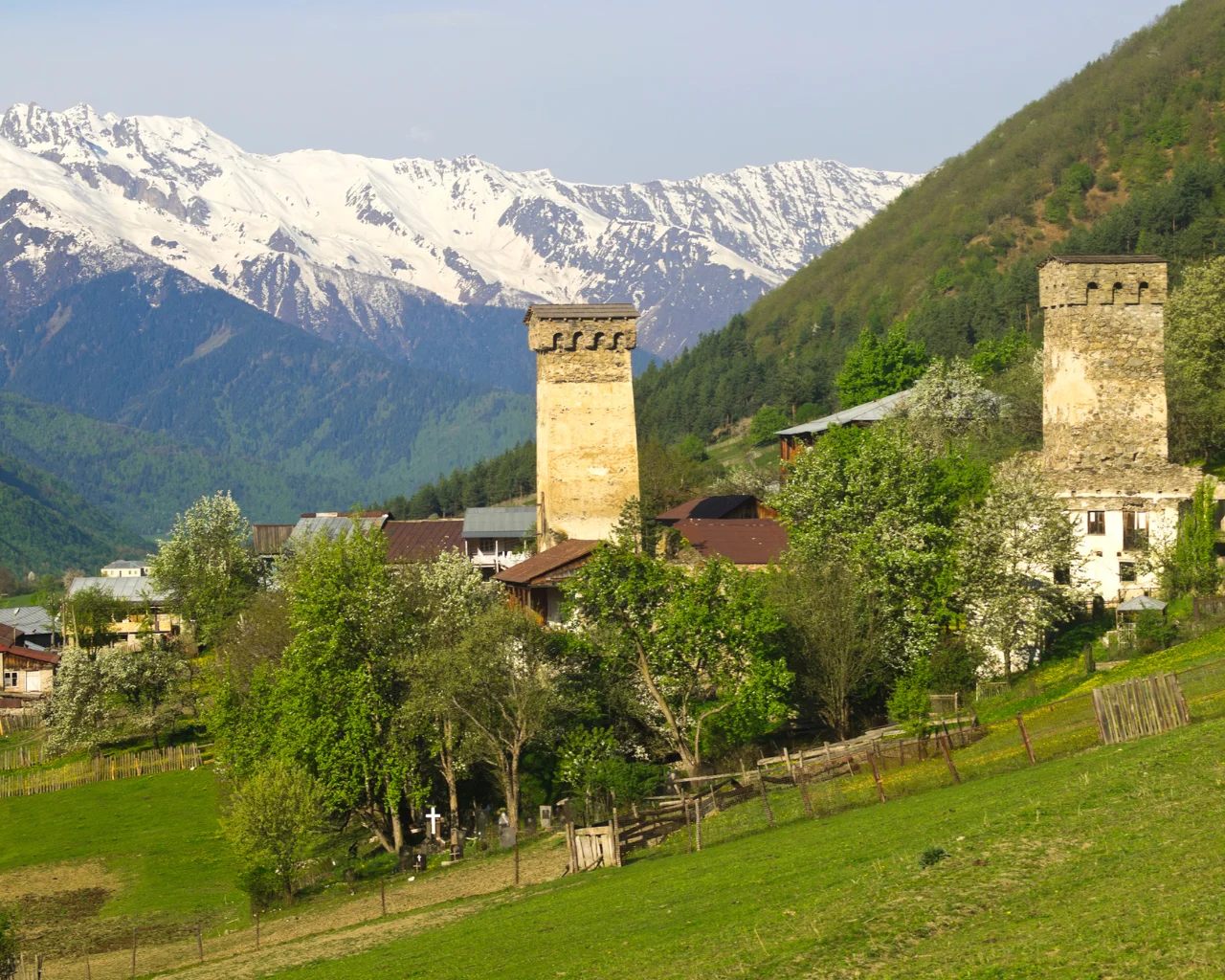 Two medieval Svan towers stand tall among blossoming trees in a village, with snow-capped mountains in the distance.