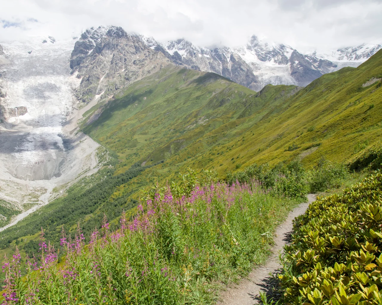 A hiking path winds through wildflowers and alpine slopes toward the icy expanse of Kazbek Glacier, Georgia.