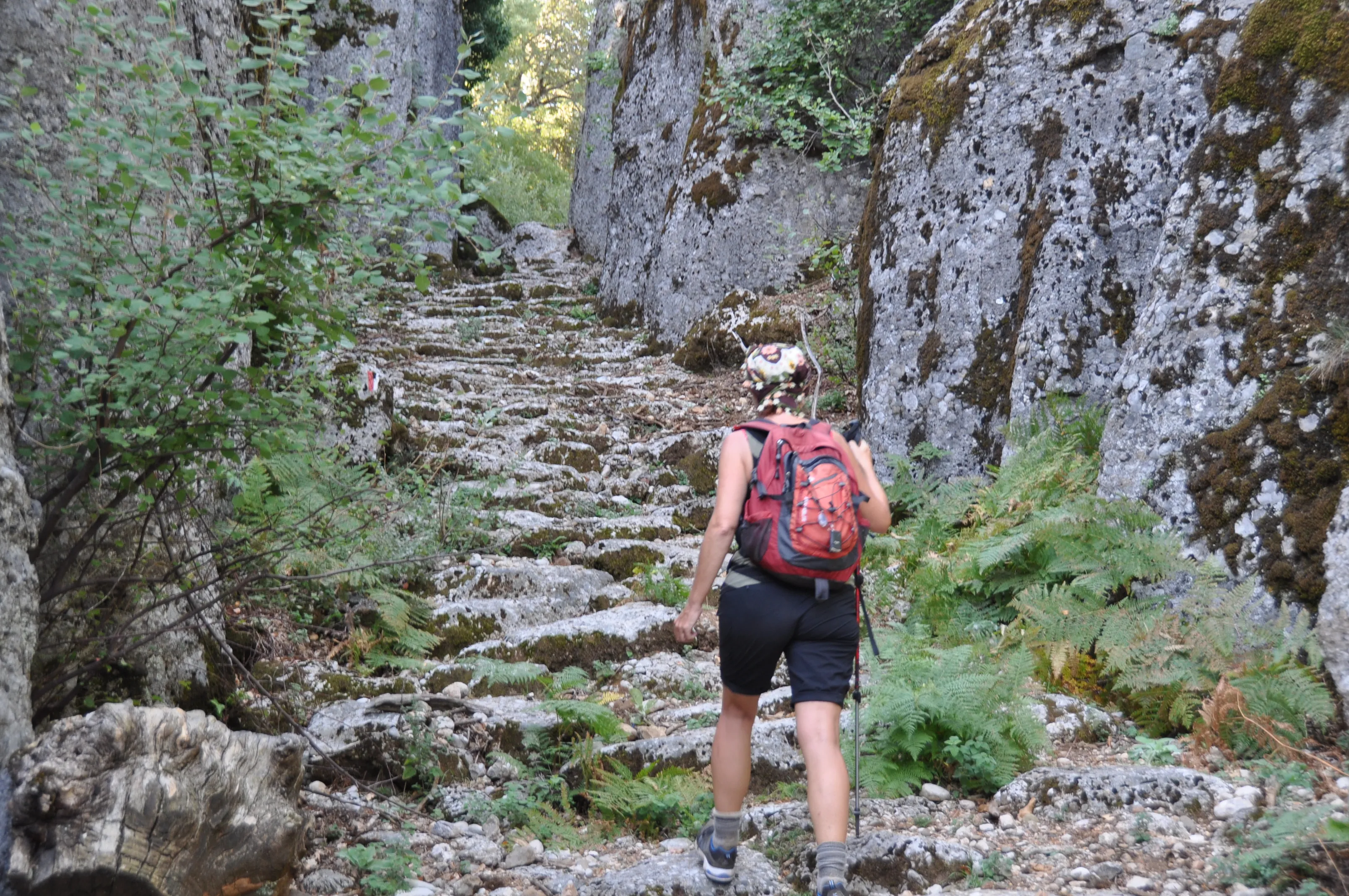 Ancient stone path – A hiker in red climbs an ancient stone pathway surrounded by lush greenery and rock formations.