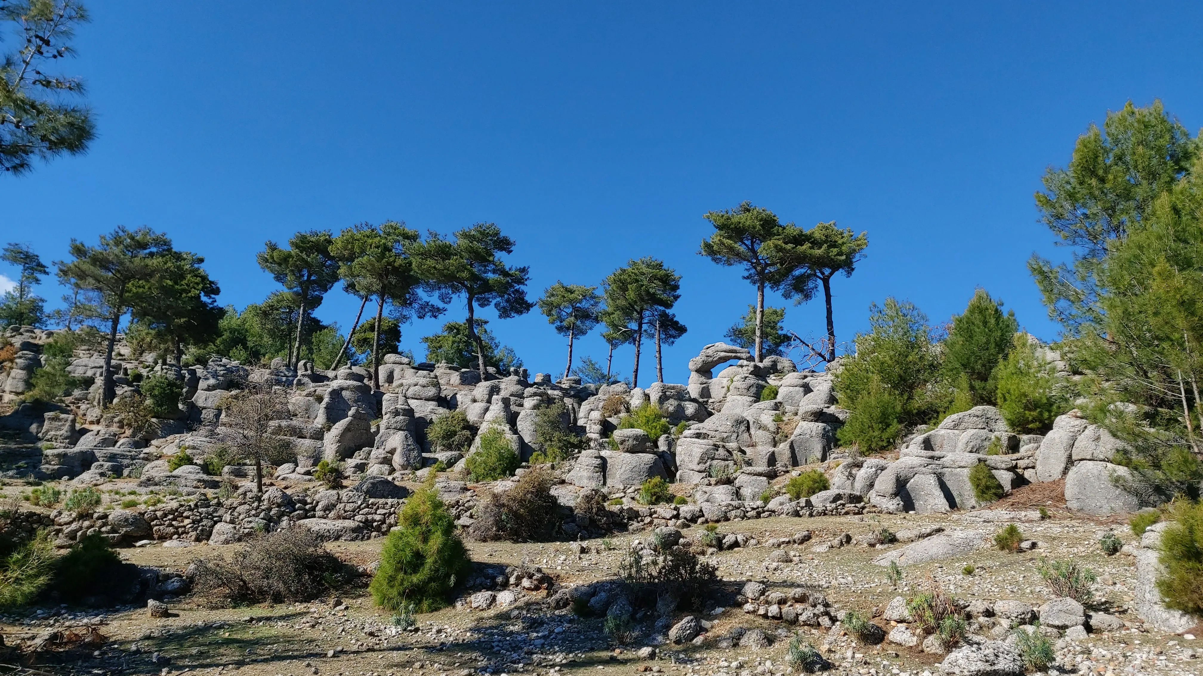 St. Paul Trail rock formations – Unique rock formations with scattered pine trees under a clear blue sky in Turkey.