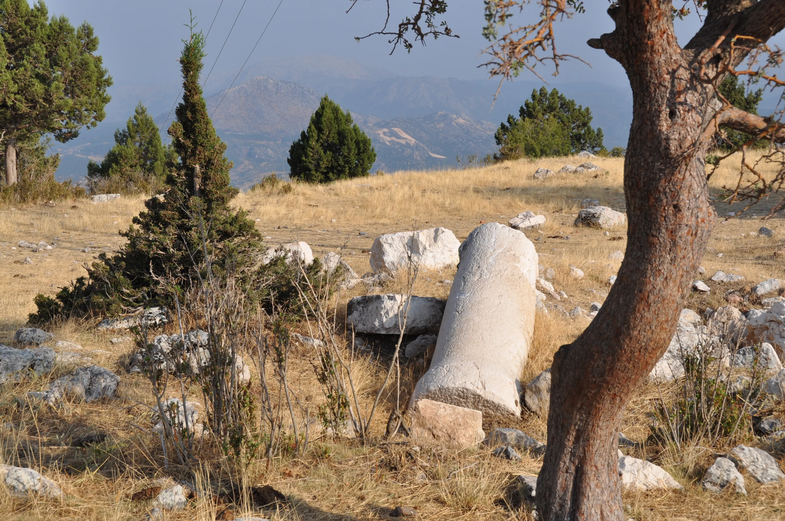 A fallen ancient column lies among dry grass and scattered trees on the St. Paul Trail.