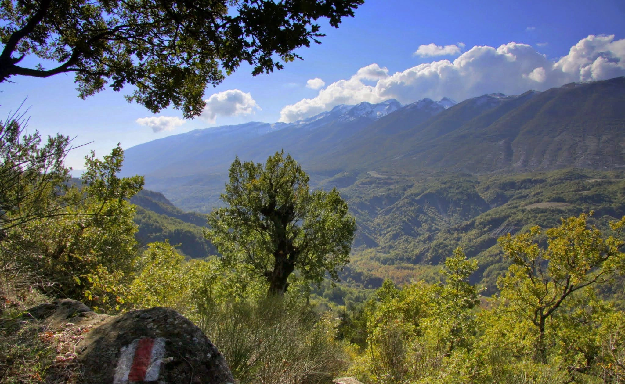  A scenic mountain view framed by trees, with a painted trail marker on a rock in the foreground.