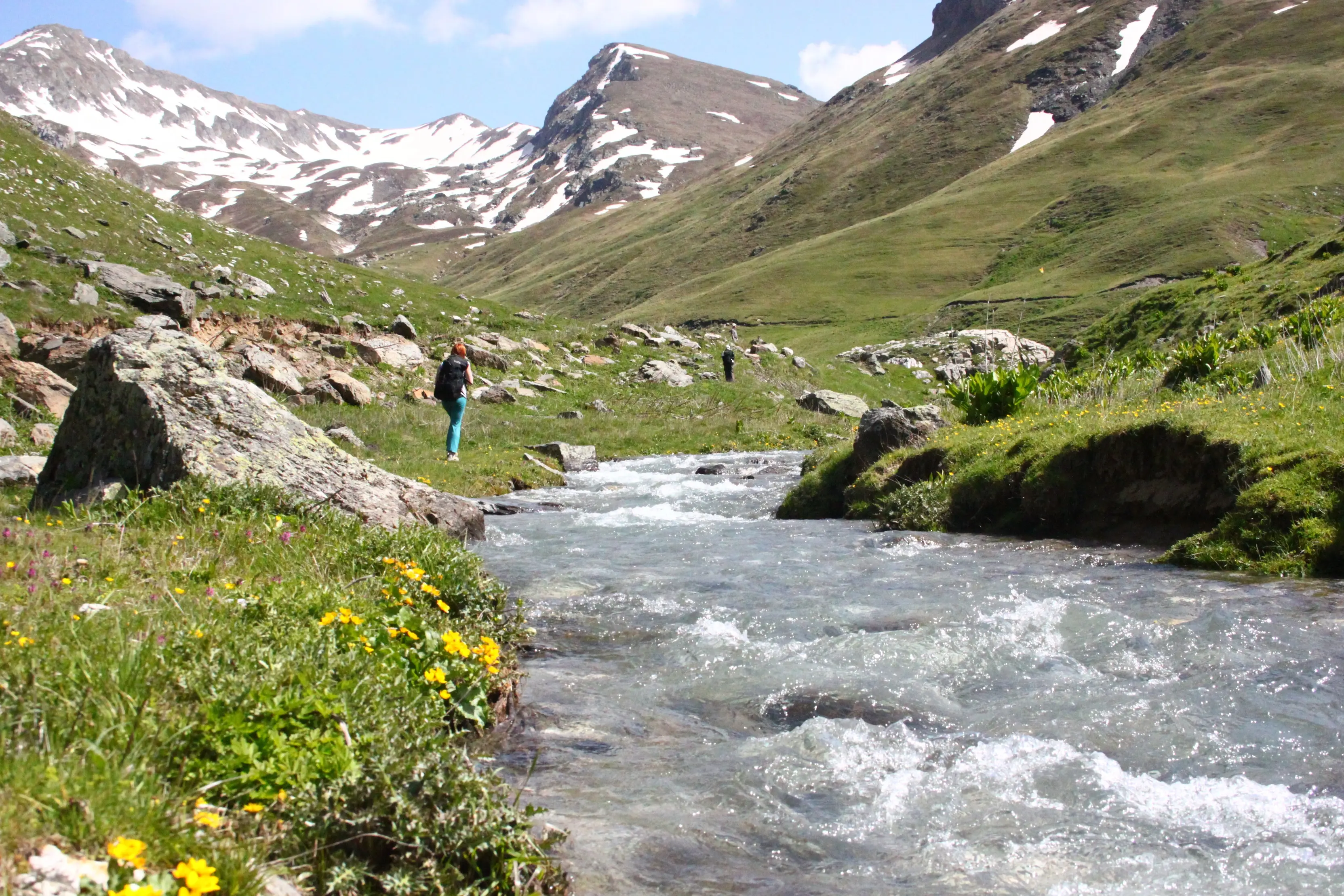 Mountain Stream High Scardus – A rushing alpine stream winds through a green valley with snowy peaks in the background.