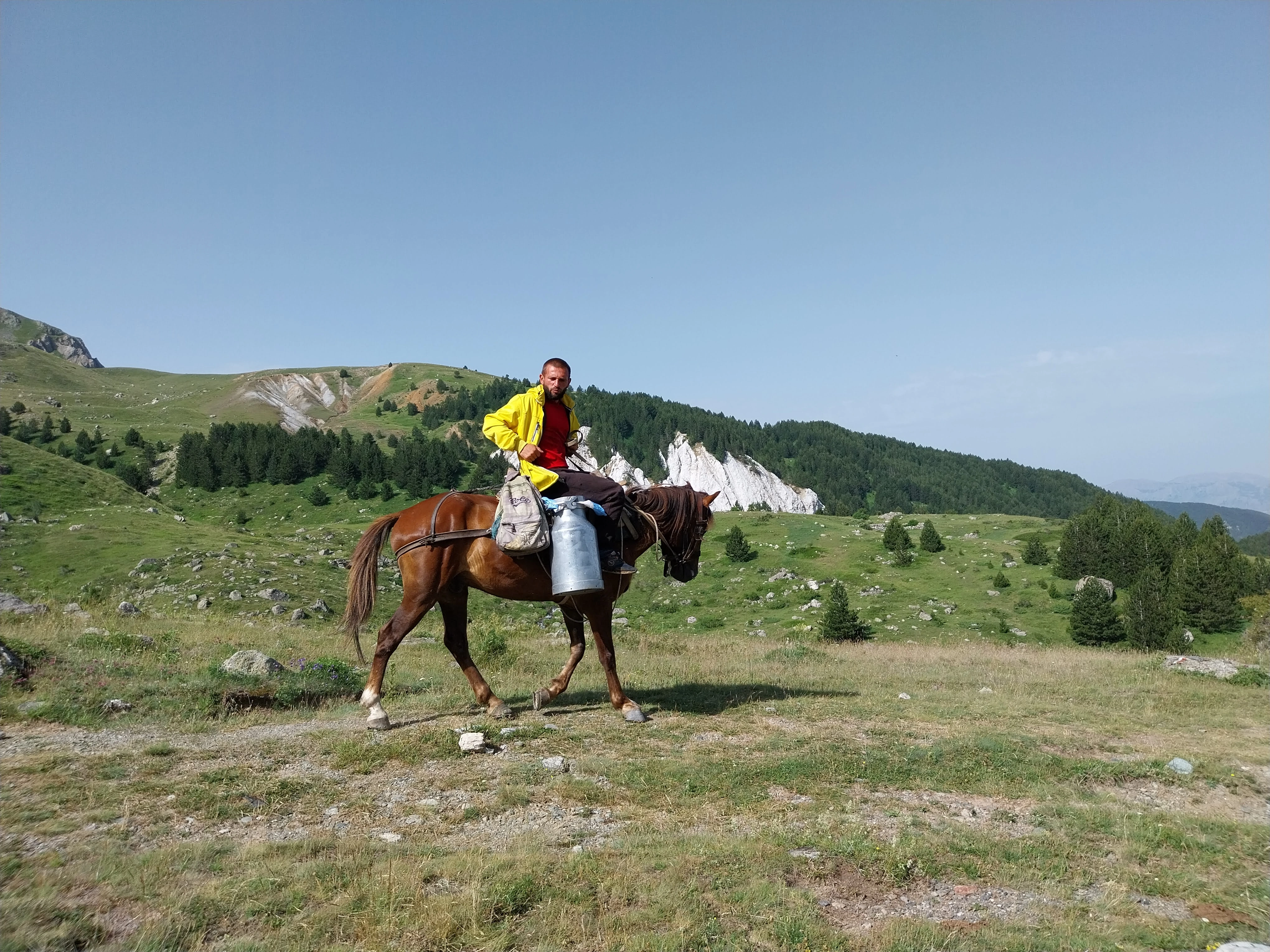A shepherd in a yellow jacket rides a horse across scenic alpine meadows in High Scardus.