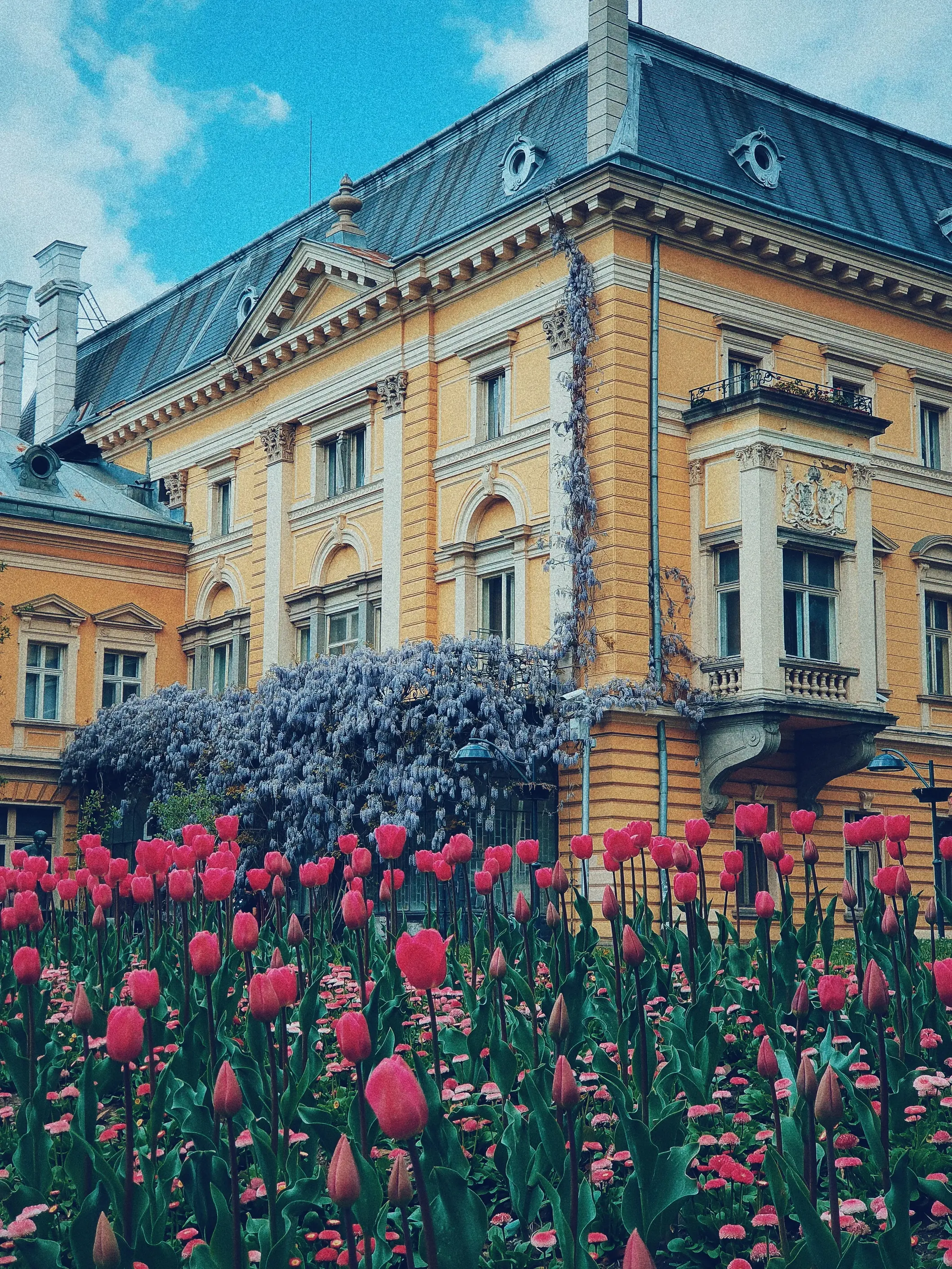 The Palace - National Art Gallery a grand yellow neoclassical building with wisteria vines and pink tulips in Sofia.