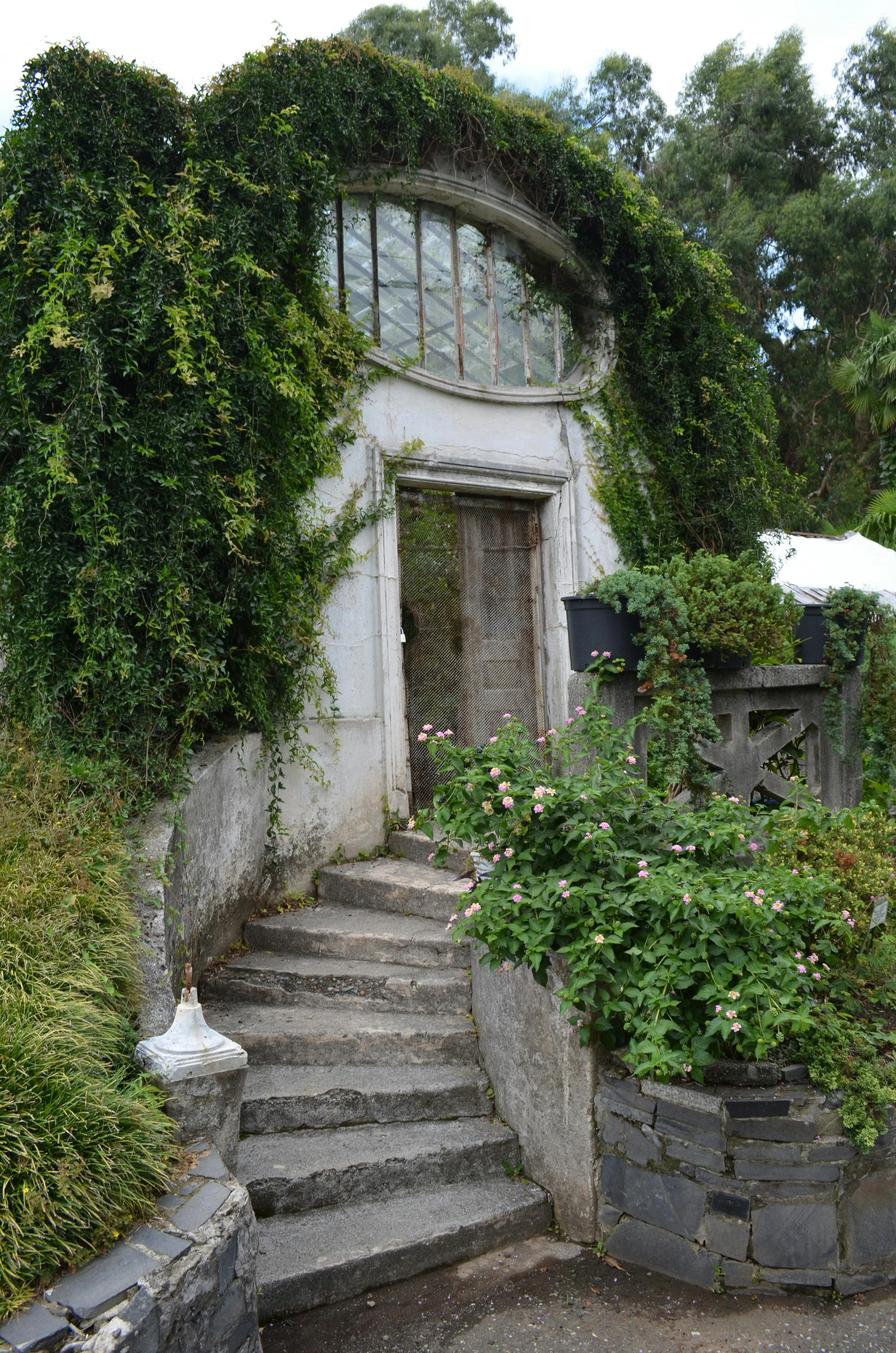 An abandoned greenhouse in Batumi, Georgia, covered in creeping ivy, with an arched window and stone steps leading inside.
