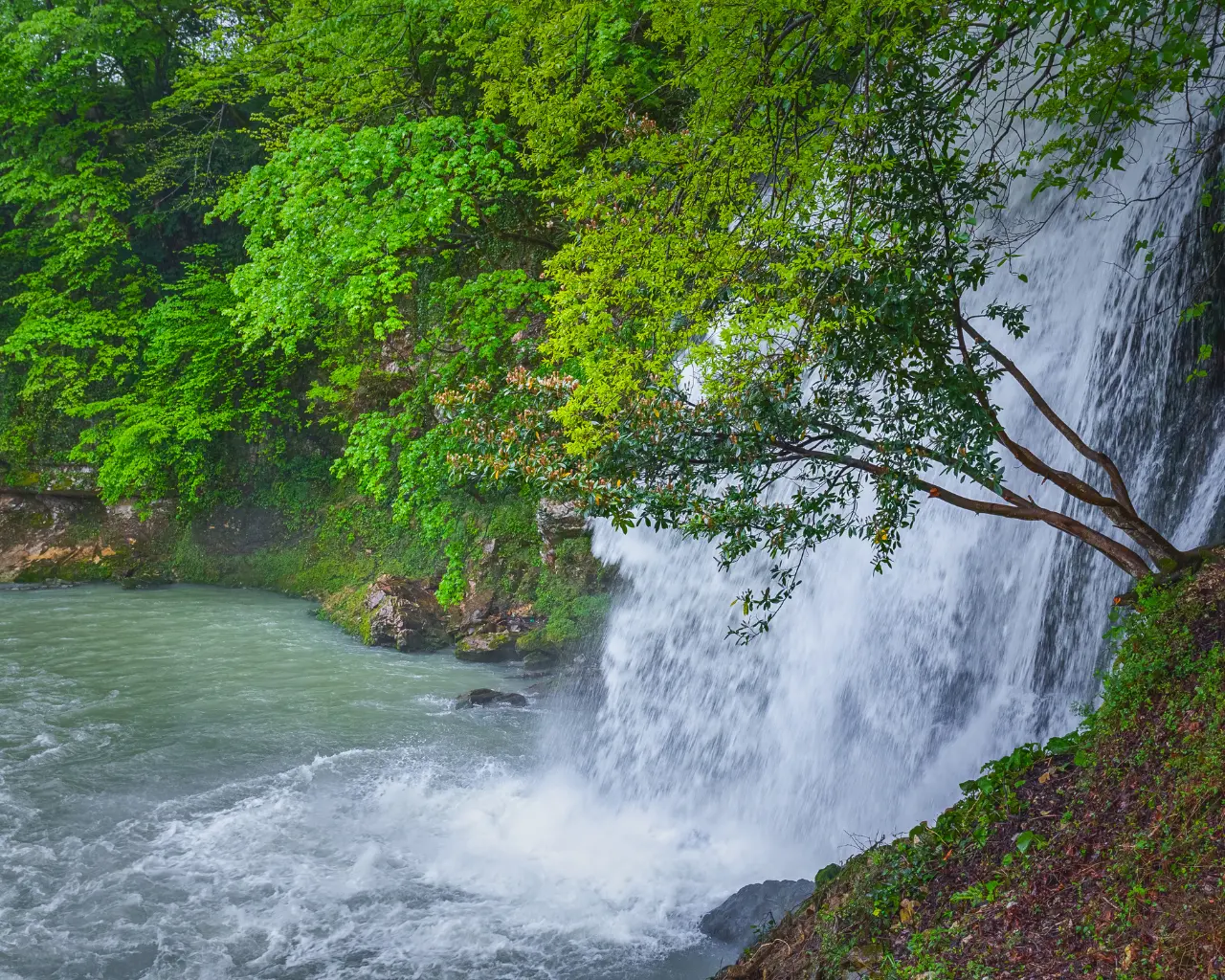 A waterfall cascading into a turquoise river, surrounded by vibrant green foliage in the Adjara region of Georgia.