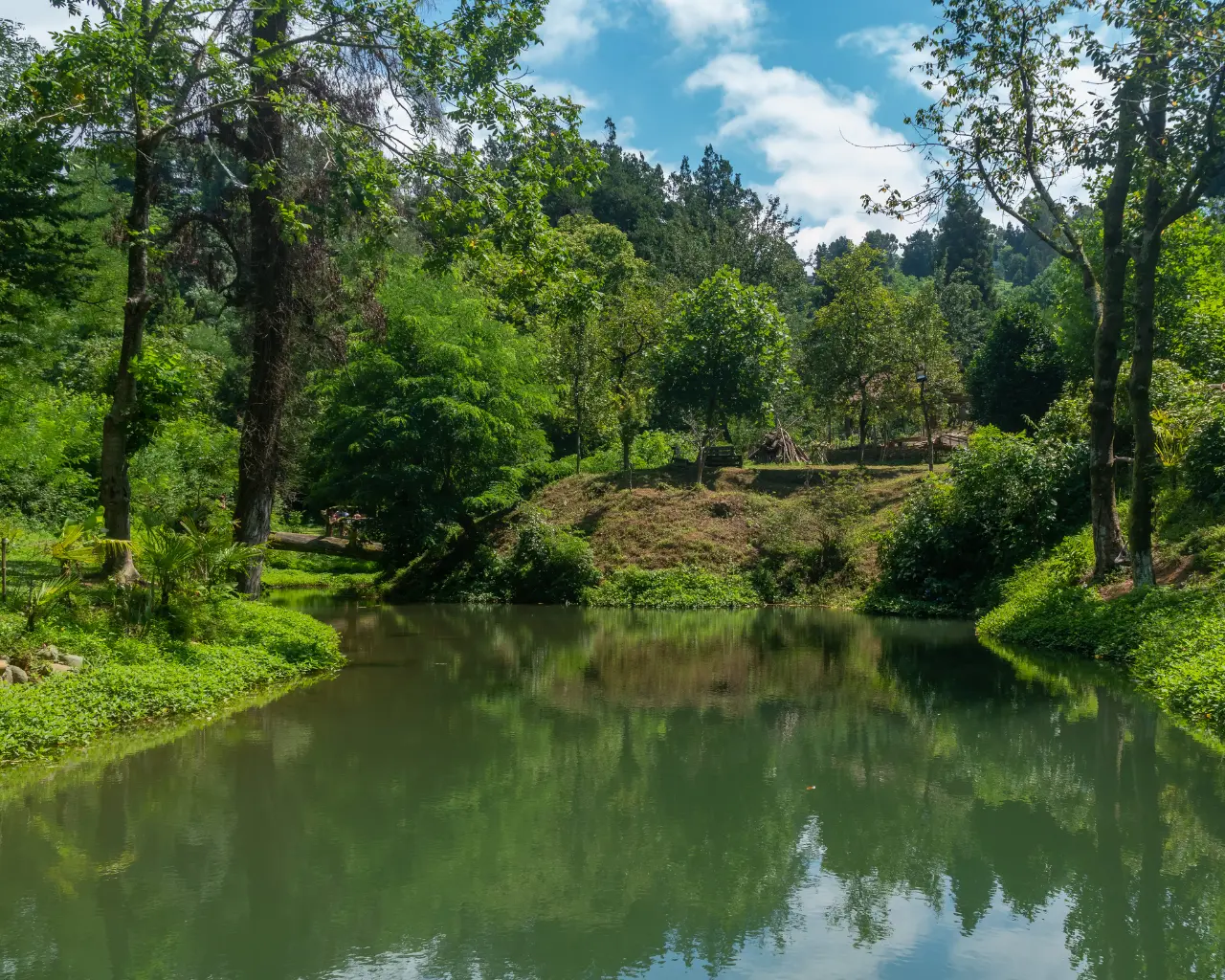 A tranquil park in Adjara, Georgia, featuring a calm pond surrounded by dense greenery and trees under a bright blue sky.