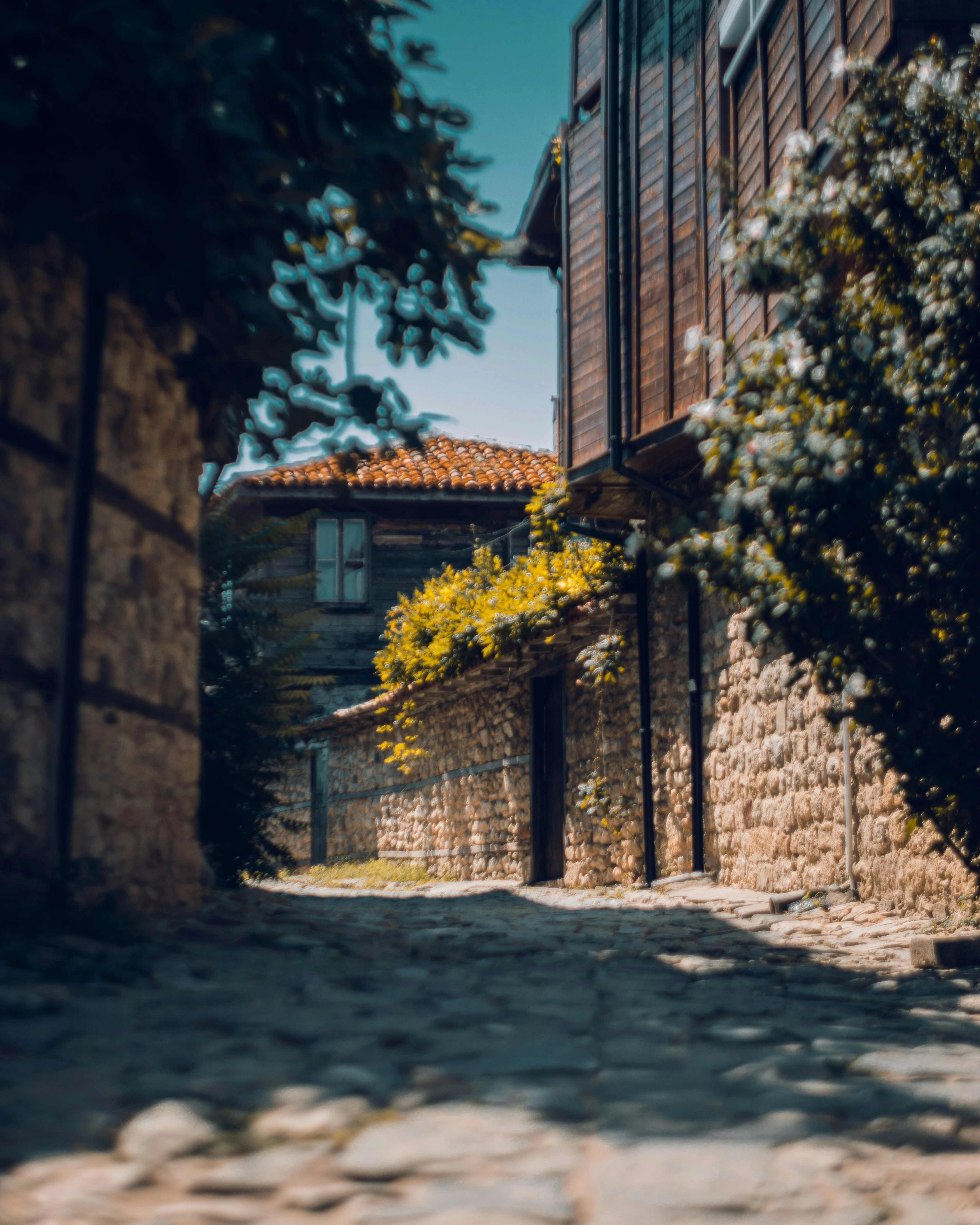 Nessebar Street, Bulgaria – A narrow cobblestone street lined with stone walls and wooden houses covered in greenery.
