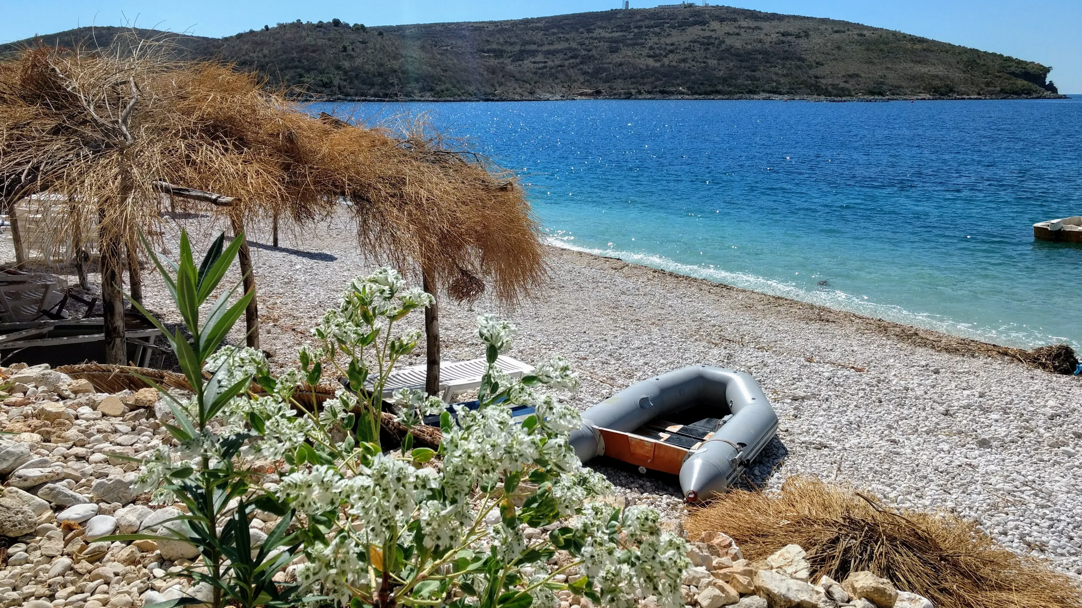 A serene pebble beach with thatched umbrellas, white flowers, and a calm blue sea in the Albanian Riviera.