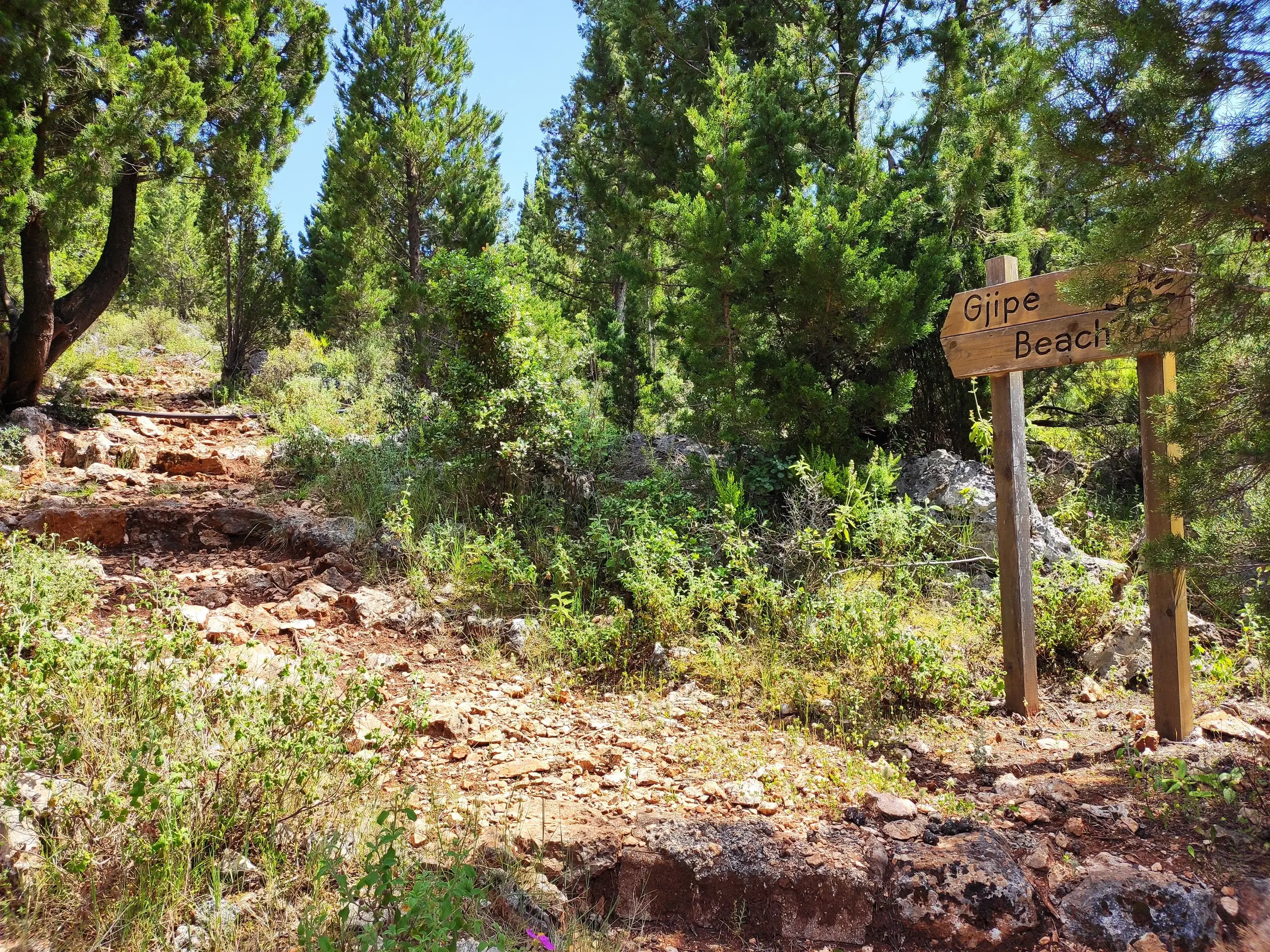 Rocky hiking trail through lush greenery leading to Gjipe Beach, a hidden gem on the Albanian Riviera.