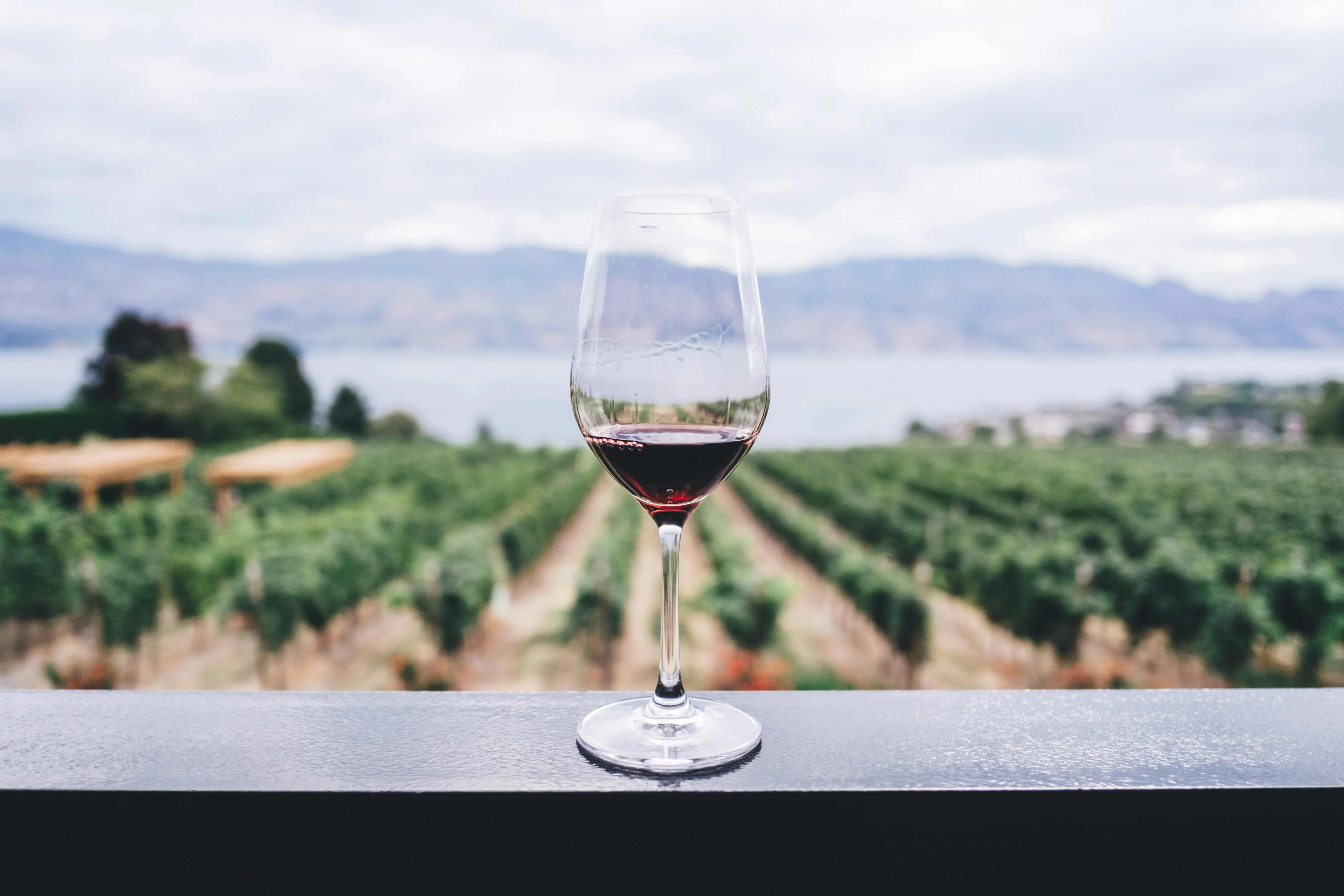 Glass of red wine on a railing with vineyard rows and a lake in the blurred background.