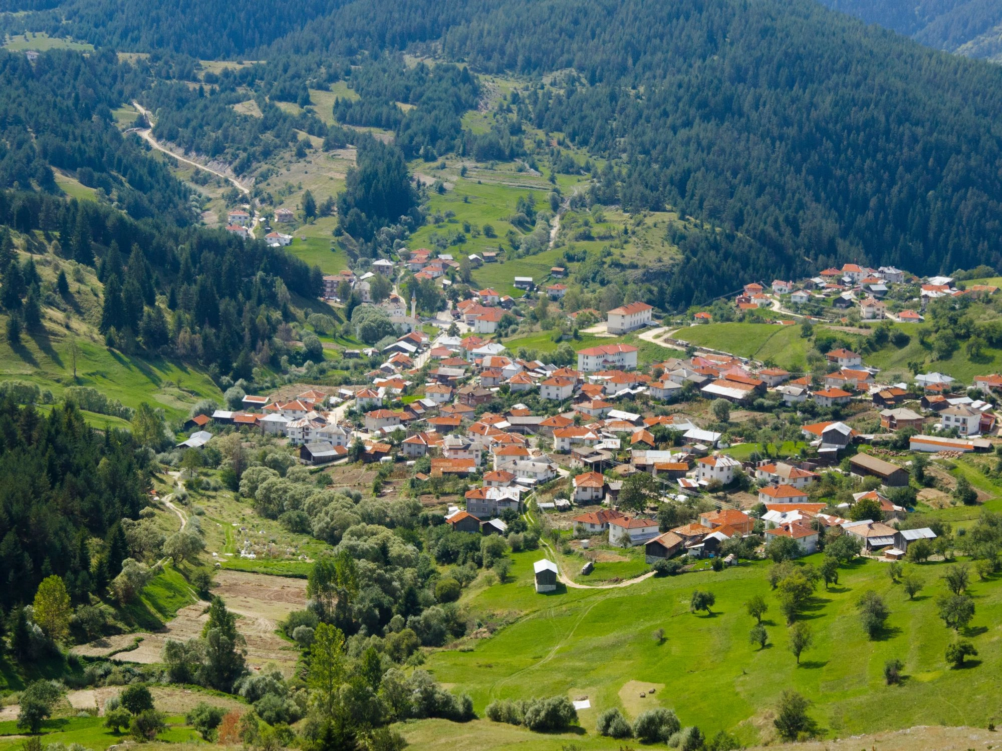 View over Yagodina village, red-roofed homes spread across green slopes, surrounded by Rhodope forests.