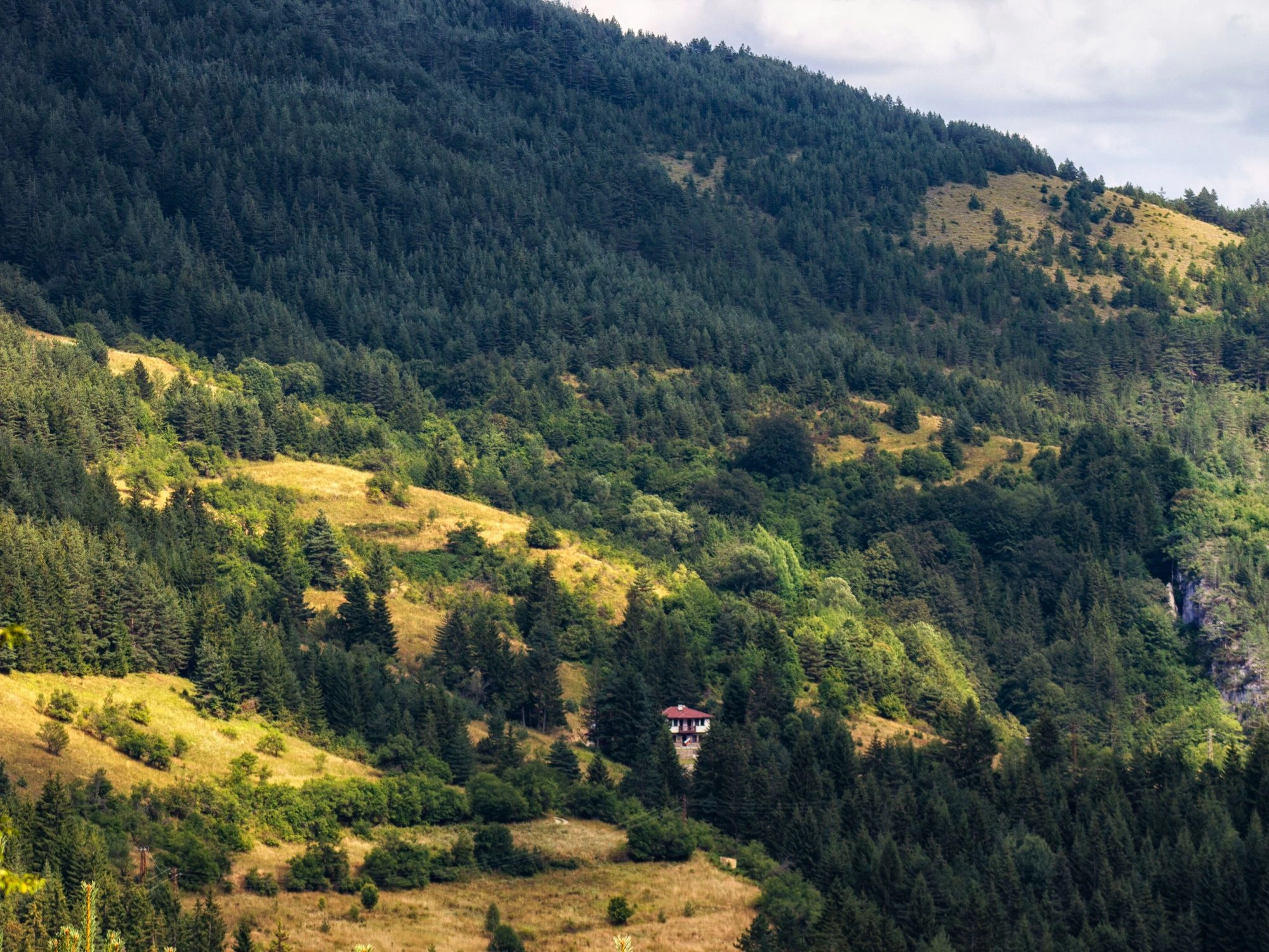 Hillside view of Rhodope Mountains covered in forests, with a small red-roofed house nestled among the trees.