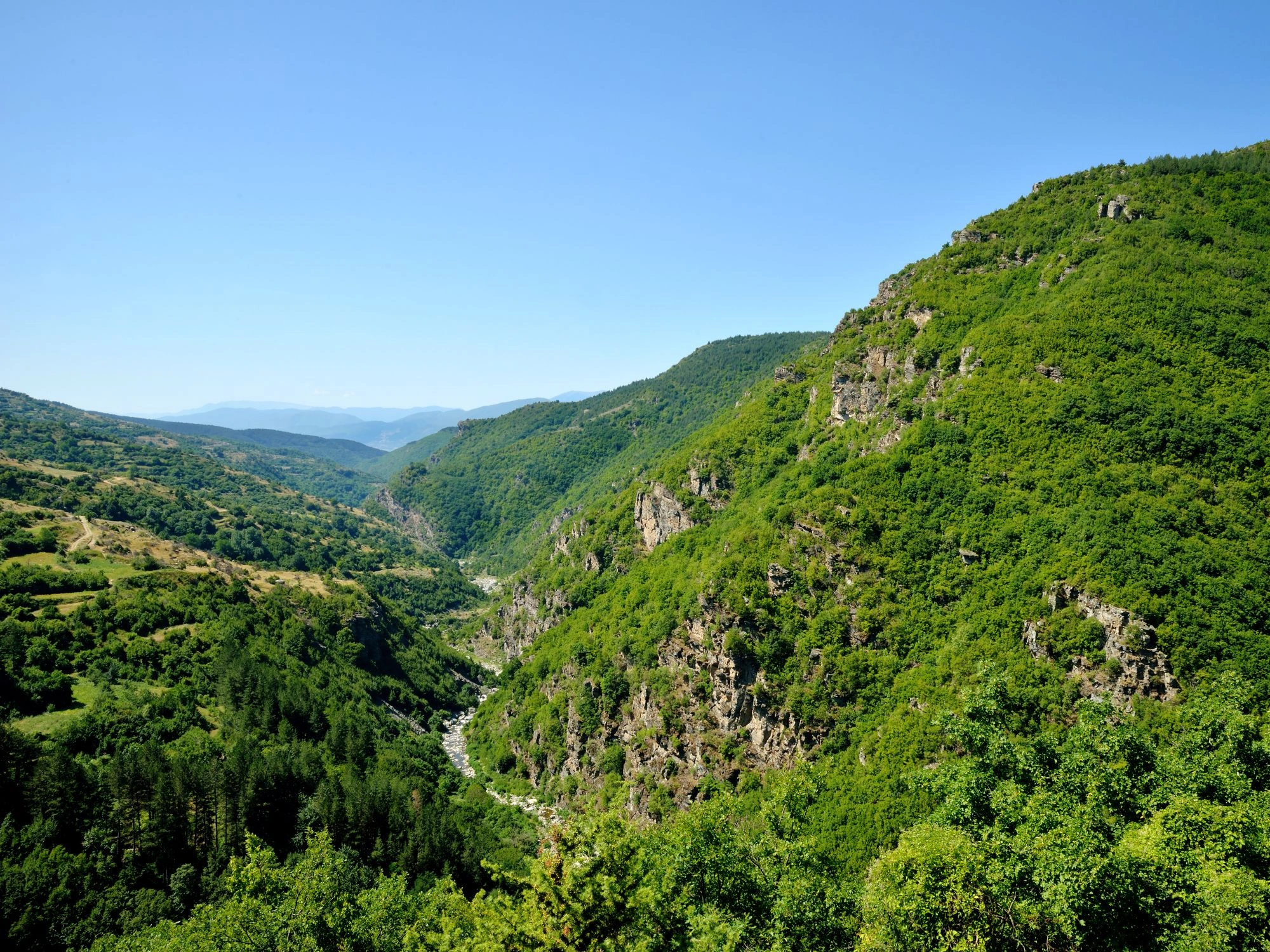 Wide view of a lush green valley with rocky cliffs and scattered trees in the Rhodope Mountains, Bulgaria.