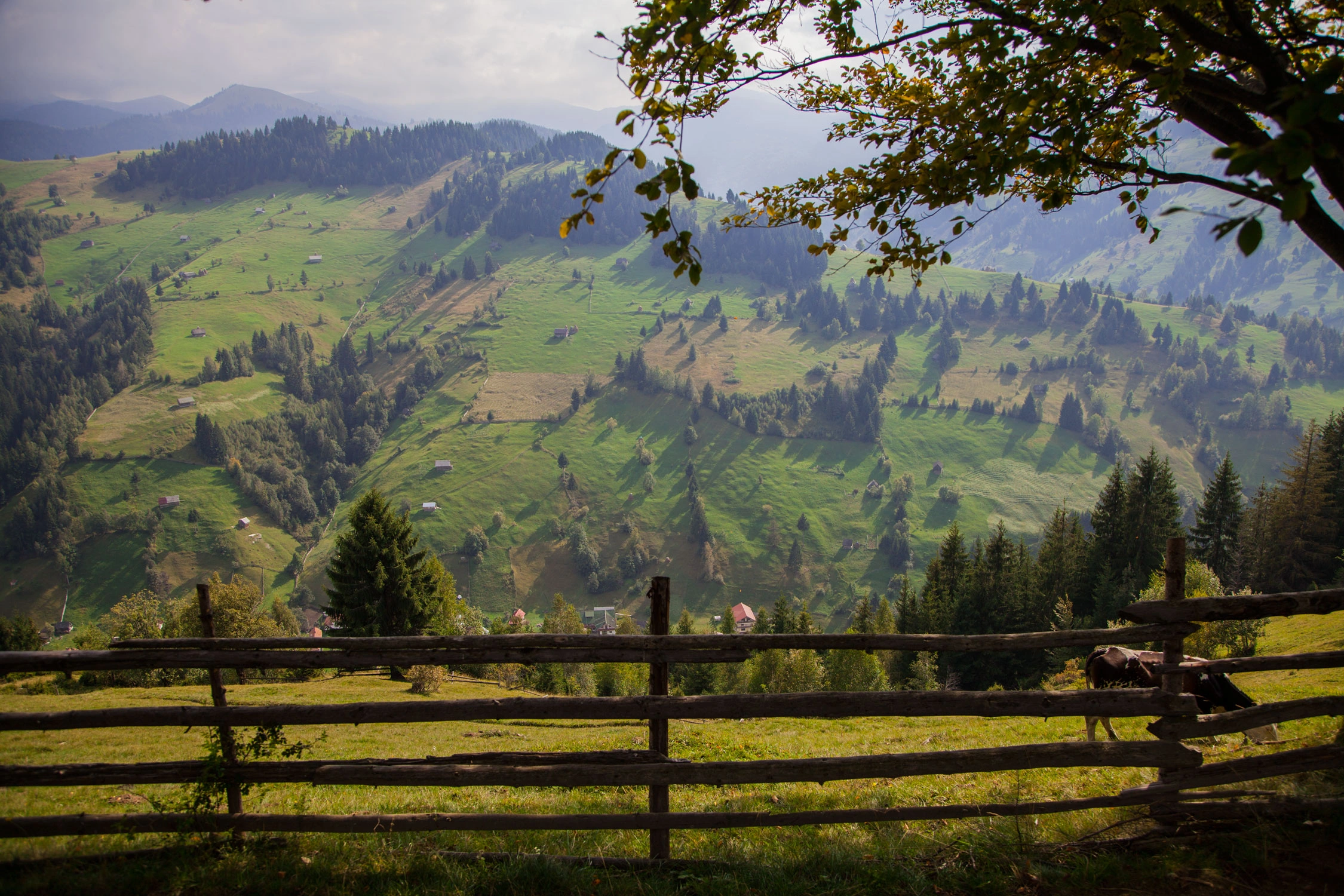 Rustic wooden fence frames a green valley dotted with haystacks, small farms, and forested slopes in the Carpathians.