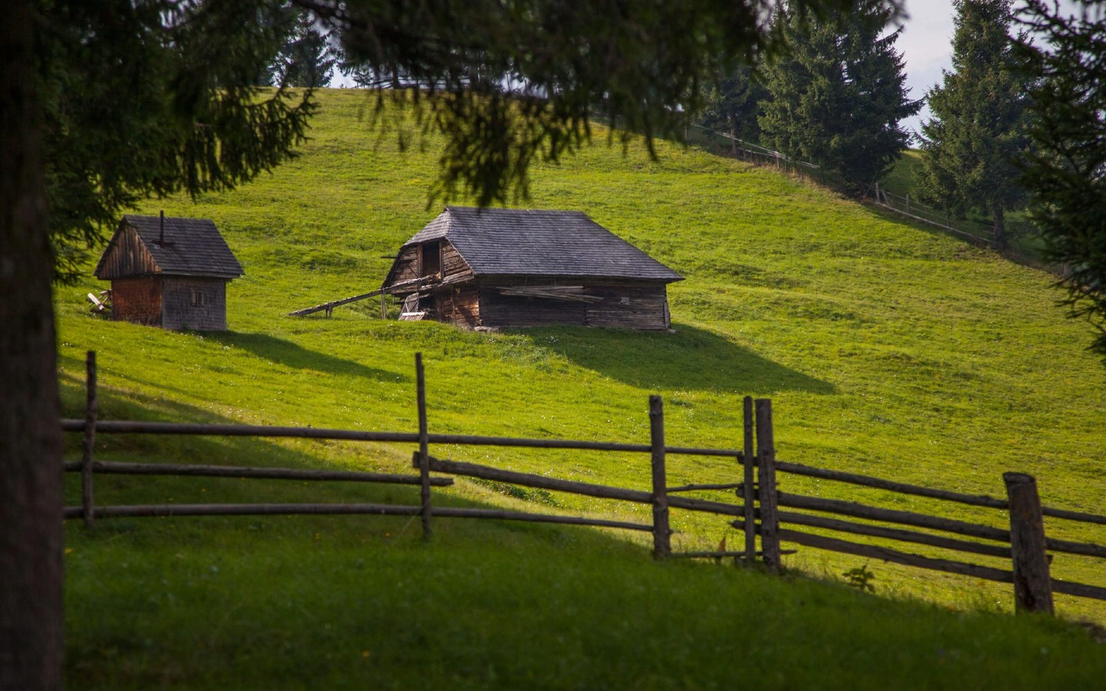 Small wooden cabin on a sunny hillside, with a rustic fence and tree shadows across the bright green grass.