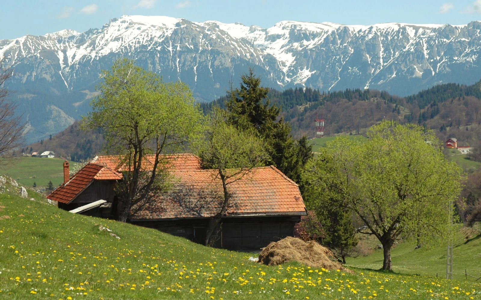 Traditional wooden house with red roof in a green meadow, with snow-capped Carpathian Mountains in the background.