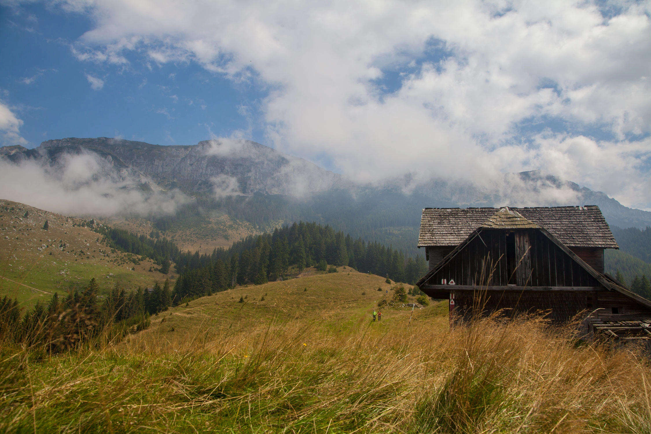Rustic wooden barn on a grassy slope, mist rolling in from the forested Carpathian peaks behind it.