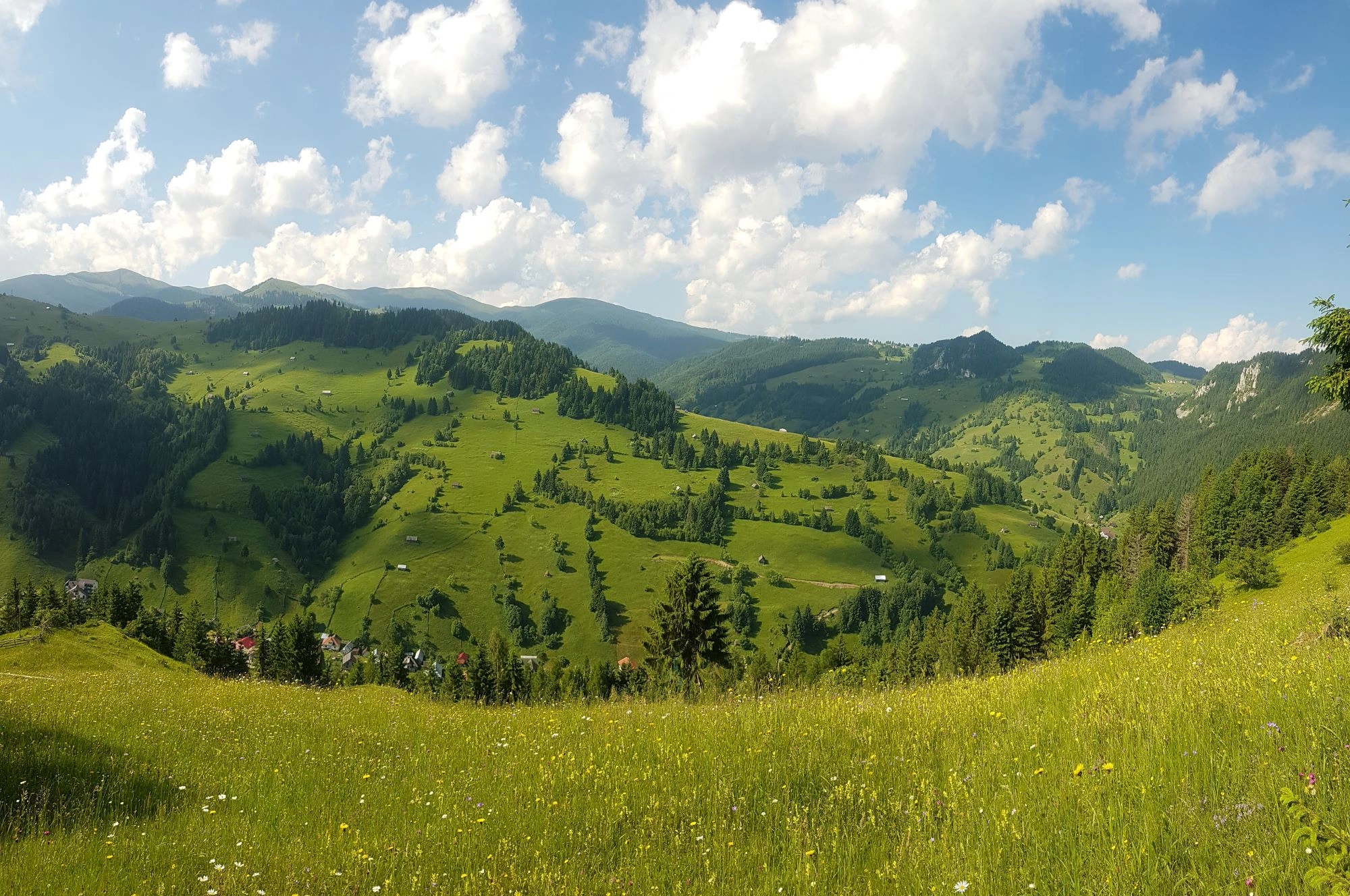 Panoramic view of rolling Carpathian hills covered in green meadows, trees, and scattered farms under a blue sky.