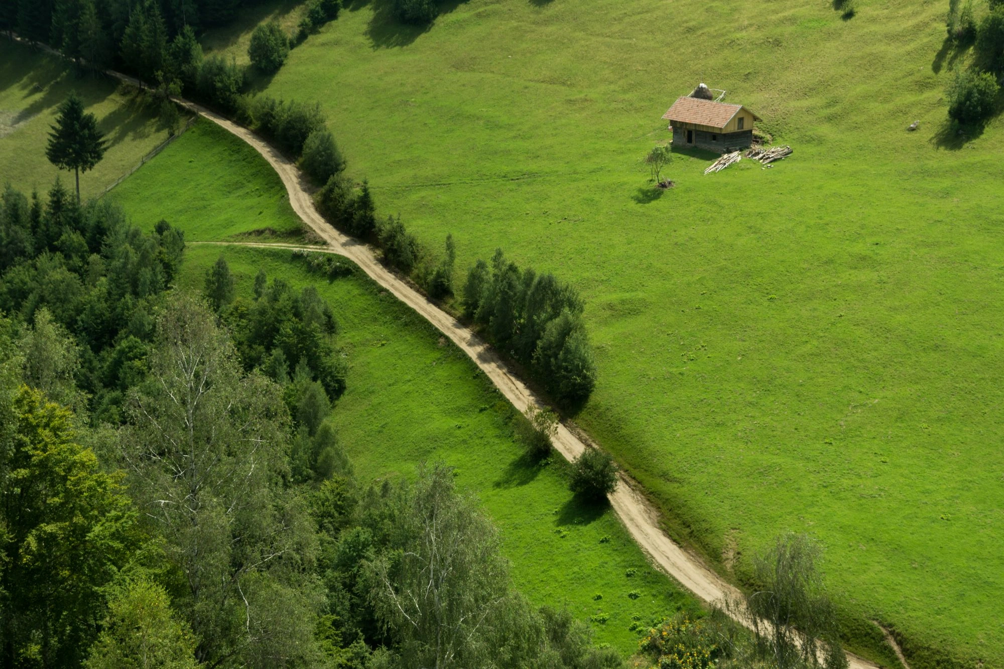 Isolated wooden cabin on a green hillside, reached by a dirt path, surrounded by open fields and scattered trees.