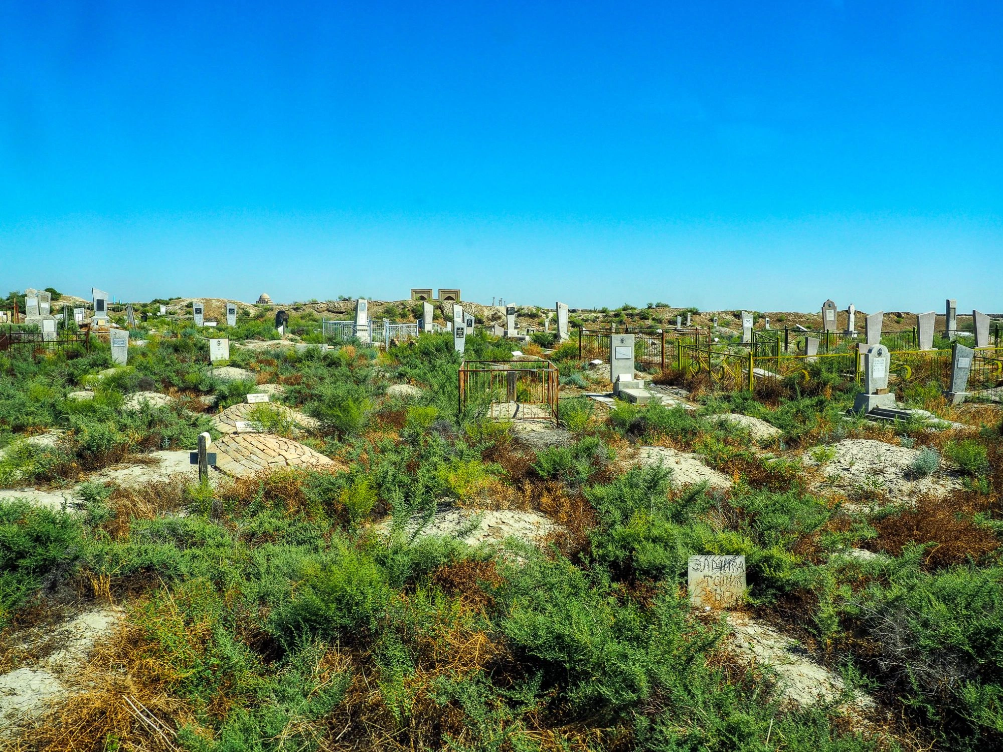 Ancient cemetery in Merv, Turkmenistan, with weathered gravestones among desert vegetation.