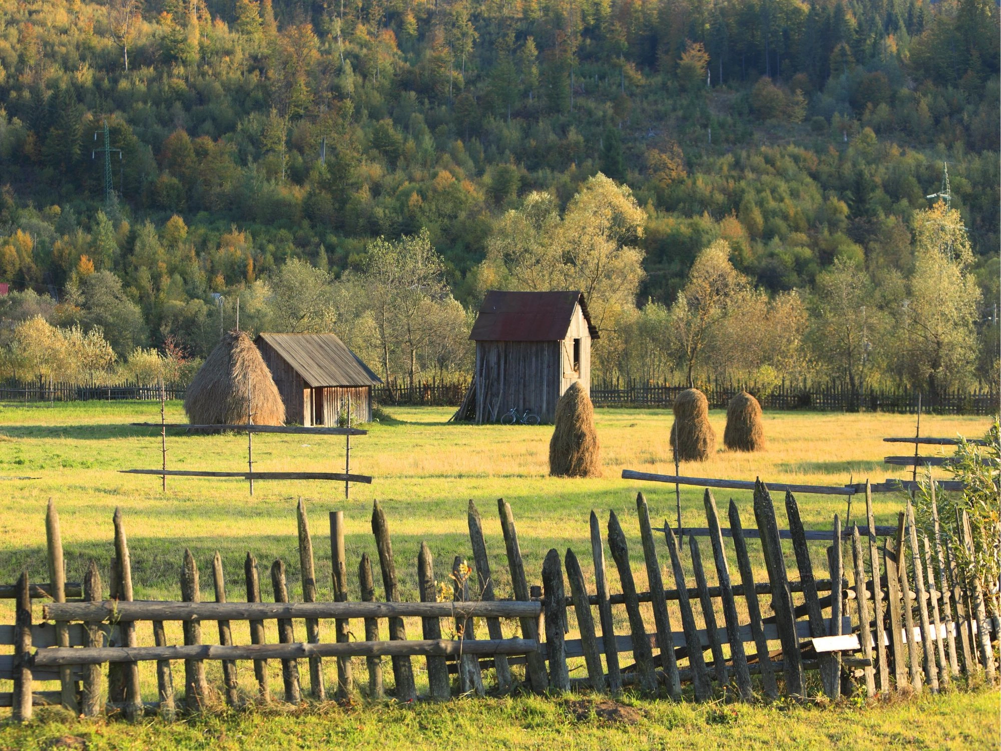 Bucolic Romanian field with haystacks and wooden sheds in a forested valley