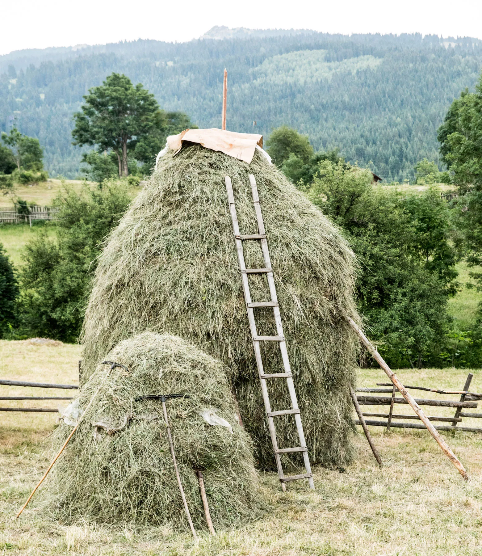 Haystack with wooden ladder in rural Kosovo along the Via Dinarica trail, with forested hills behind.