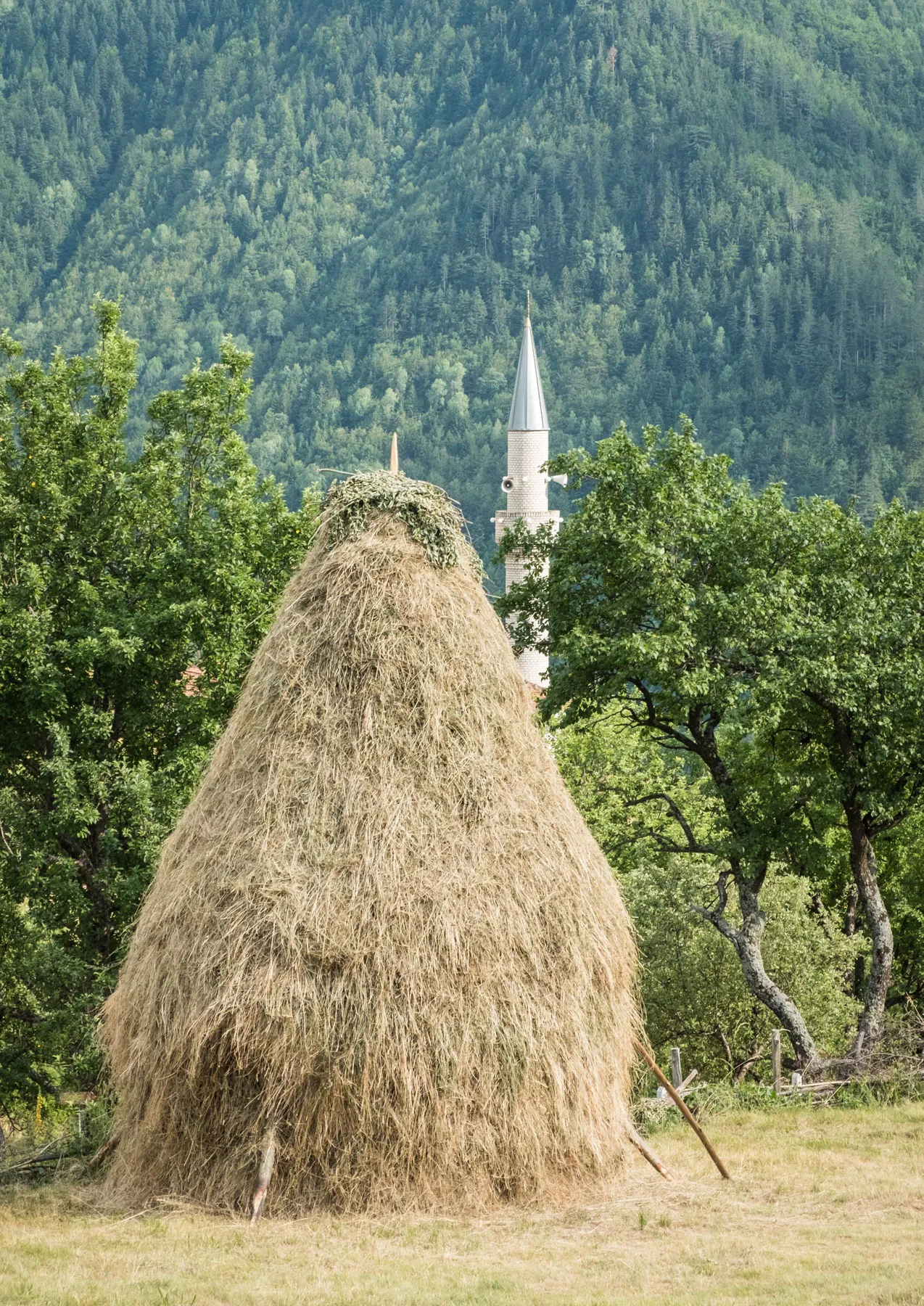 Traditional haystack in Drelaj village, with a mosque minaret peeking through lush greenery in rural Kosovo