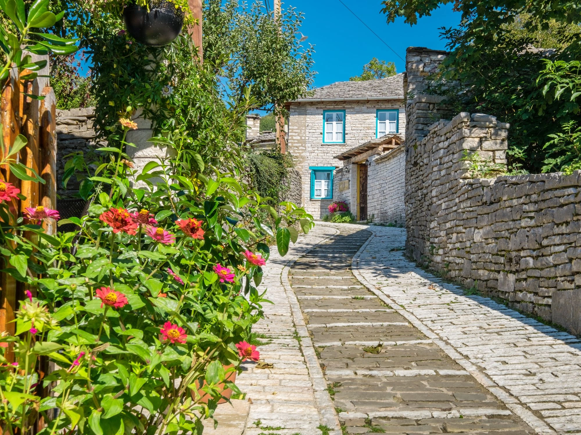 Charming cobbled street in Monodendri village, Epirus, Greece, lined with stone houses and bright flowers.