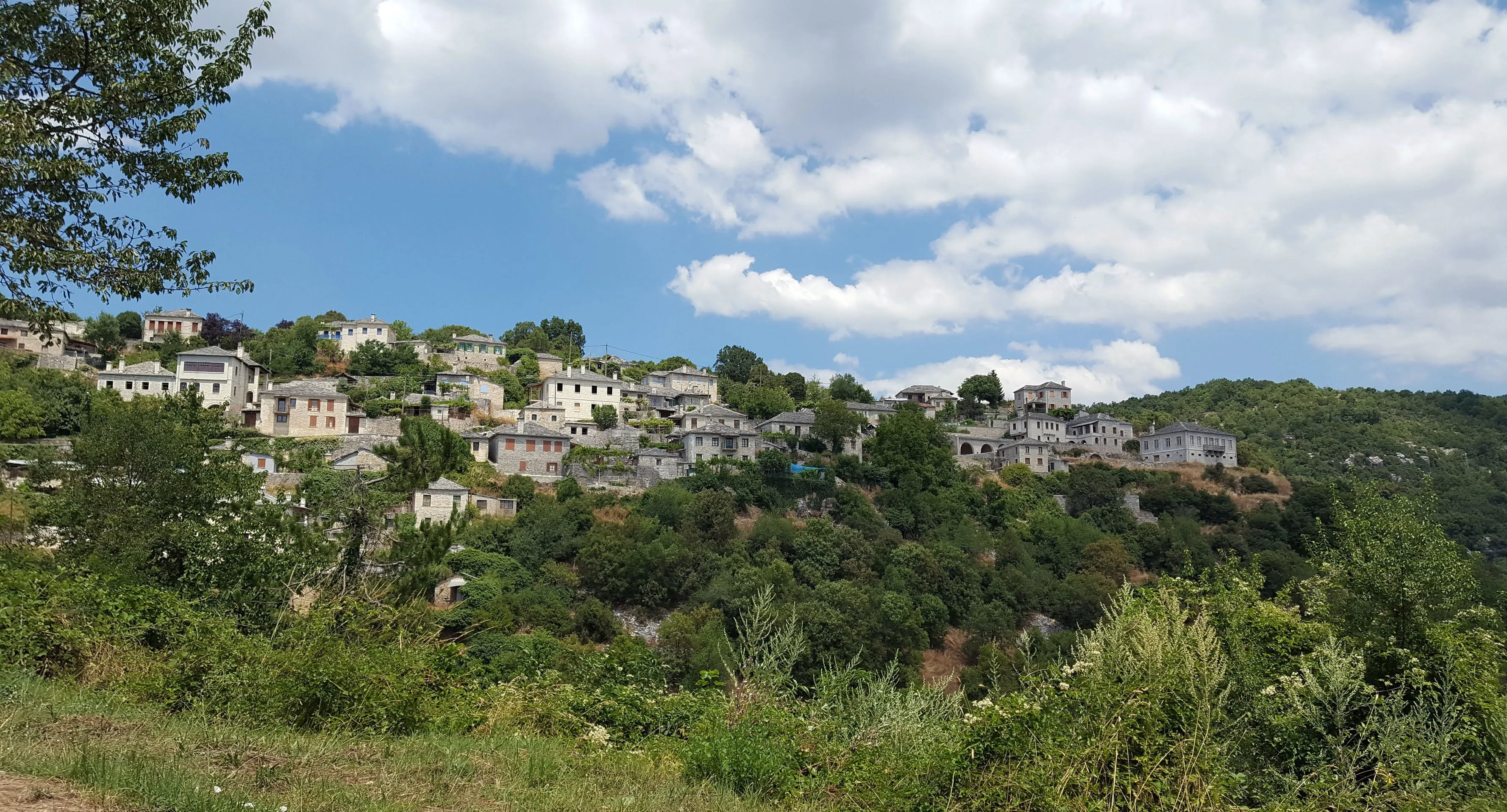 Traditional stone houses built on a hillside, overlooking green forests in the Zagorochoria region.