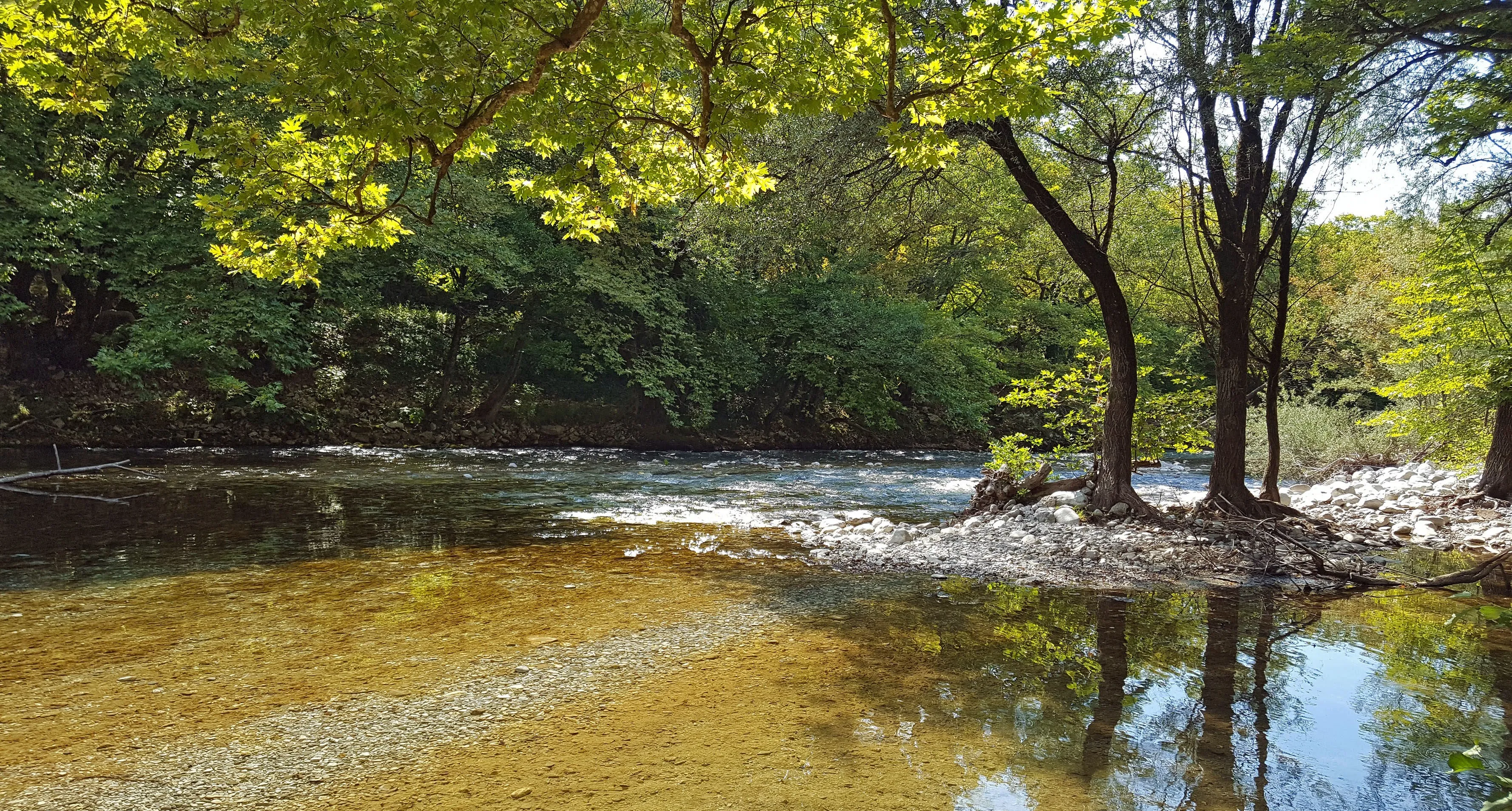 Shallow clear waters of Voidomatis River reflecting lush trees along the peaceful riverbank in Epirus.