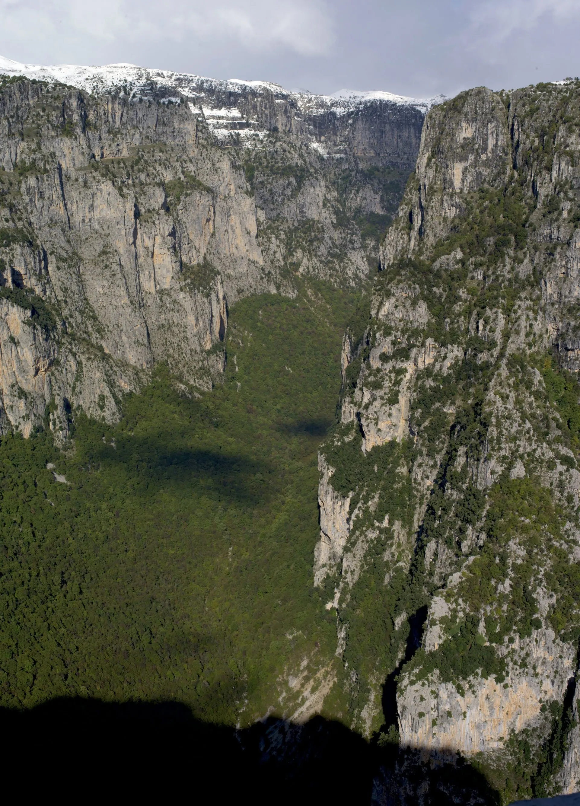 Aerial view of Vikos Gorge, with steep cliffs, lush forest, and snow-capped peaks in Epirus, Greece.
